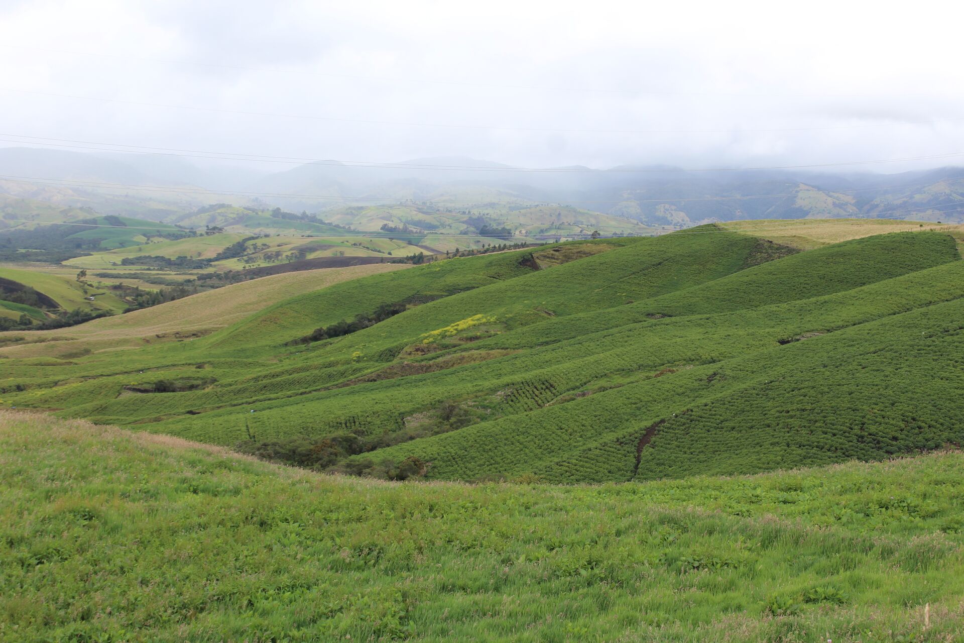 huila---jhoan-vergara_51745556762_o.jpg