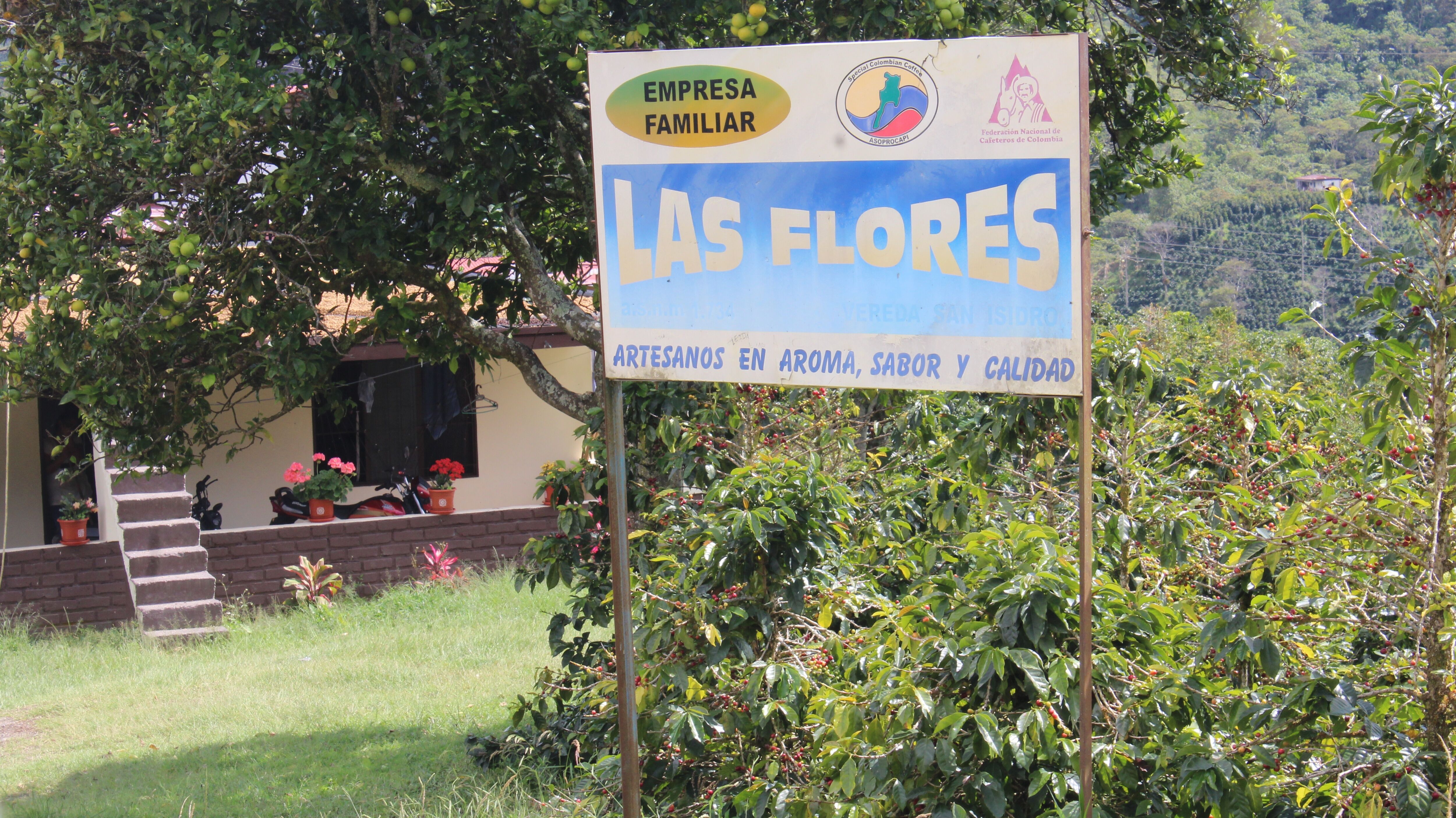 huila---jhoan-vergara_51745557142_o.jpg