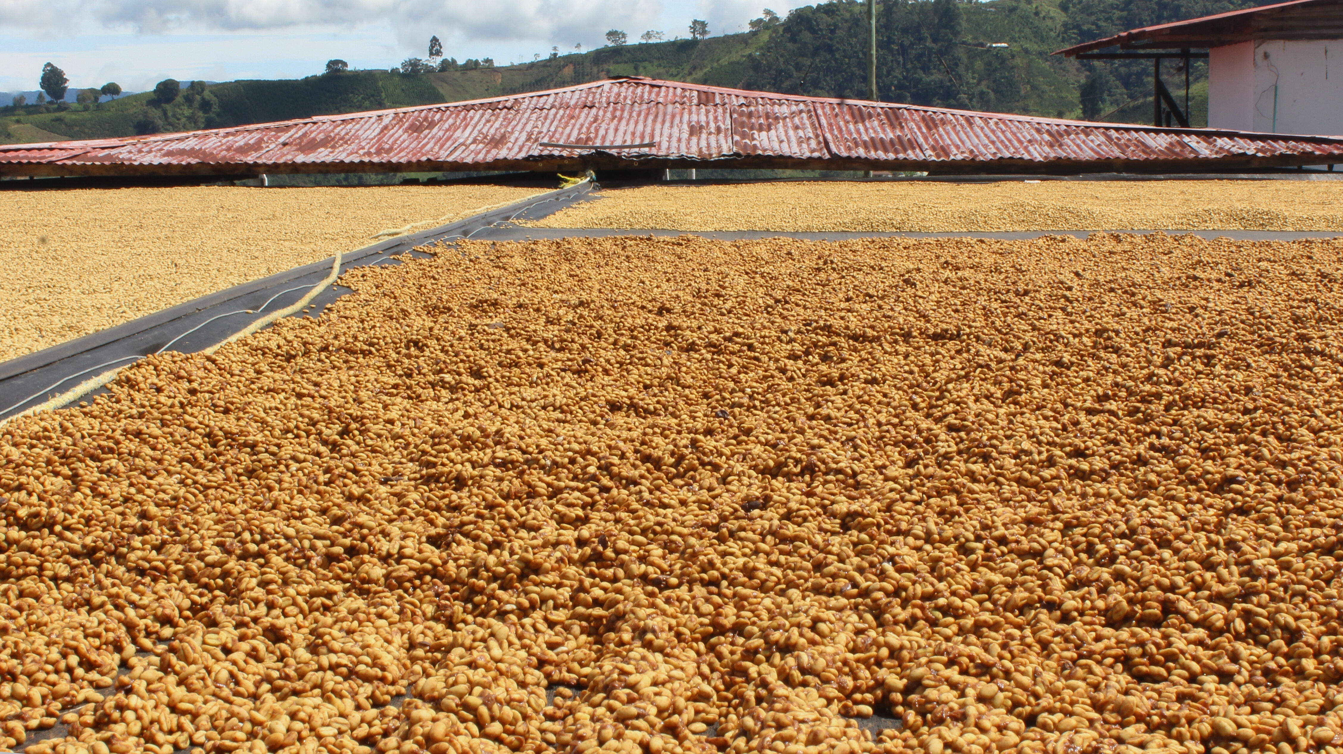 huila---jhoan-vergara_51745559432_o.jpg