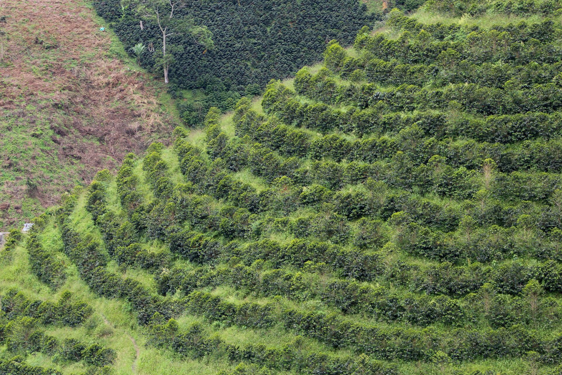 huila---jhoan-vergara_51745571507_o.jpg