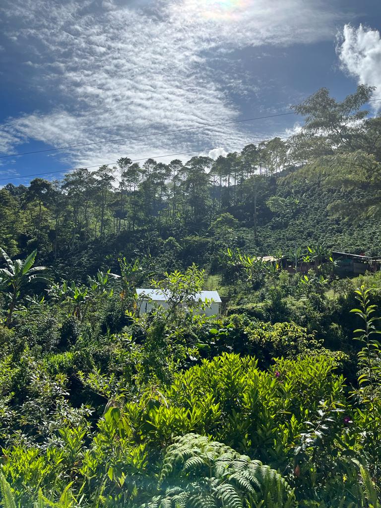 asocanafi_ascip_may_2023_21 (1).jpg