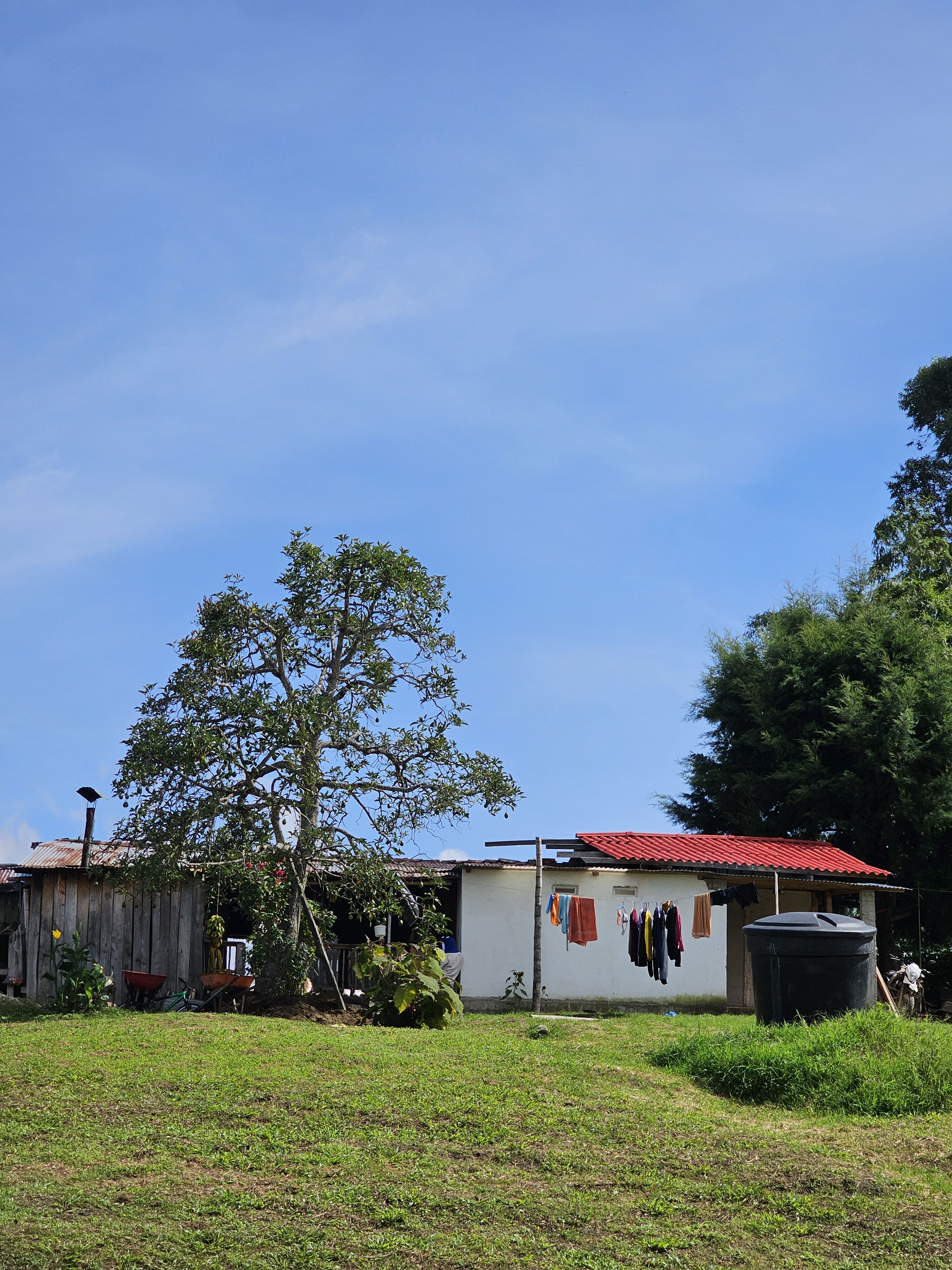 20240717_094312 (1).jpg