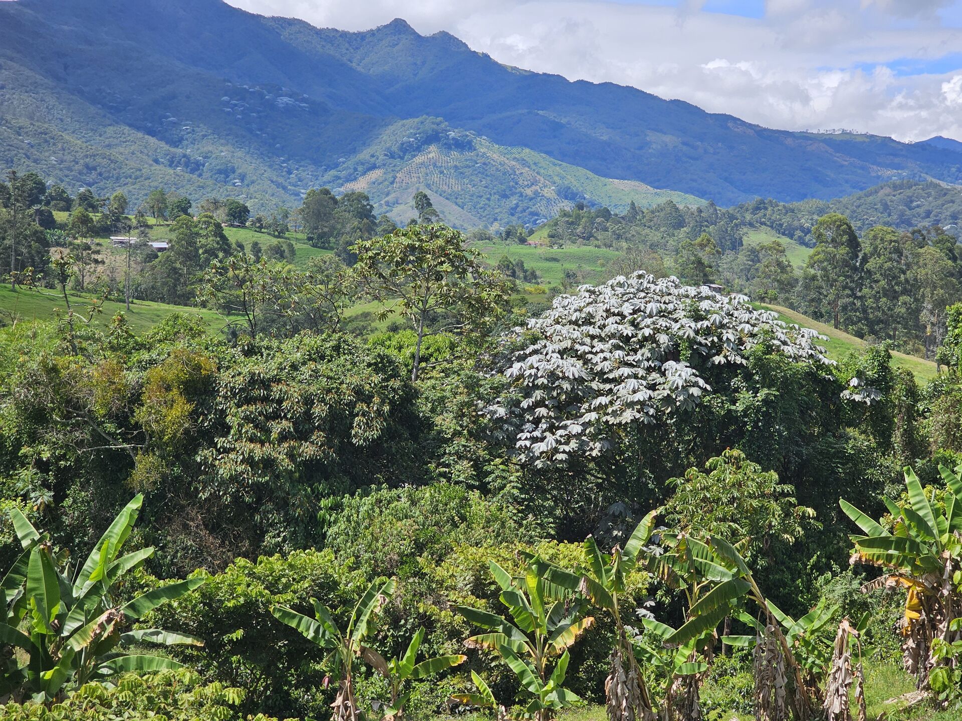 Tierra Linda