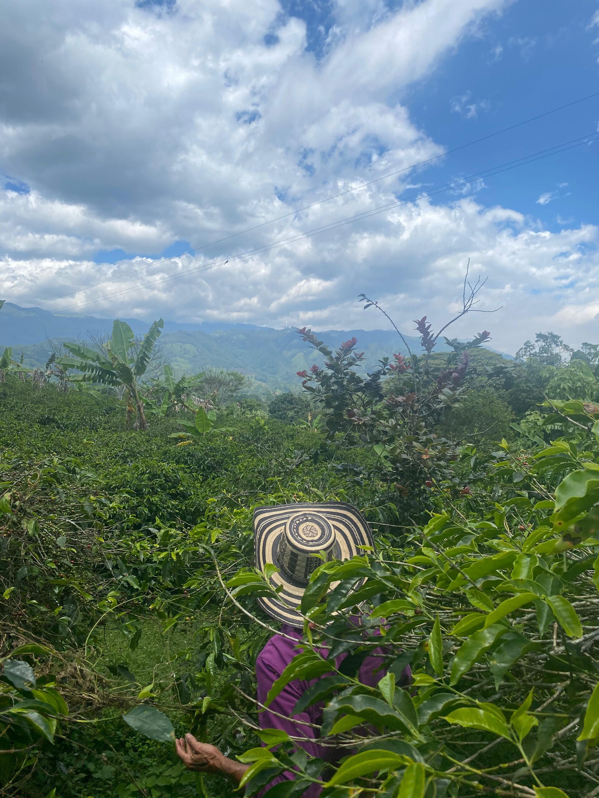 Tierra Linda