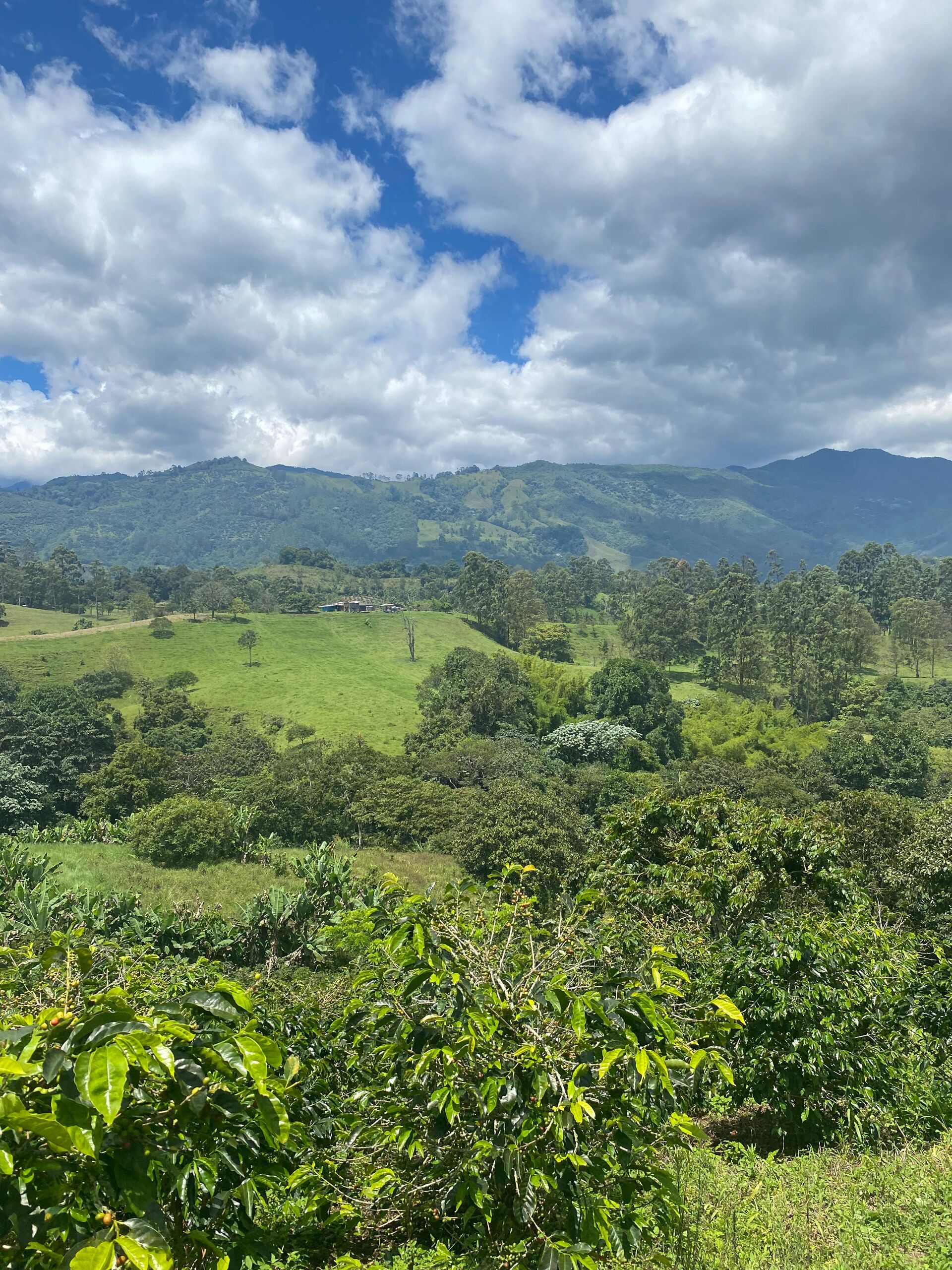 Tierra Linda
