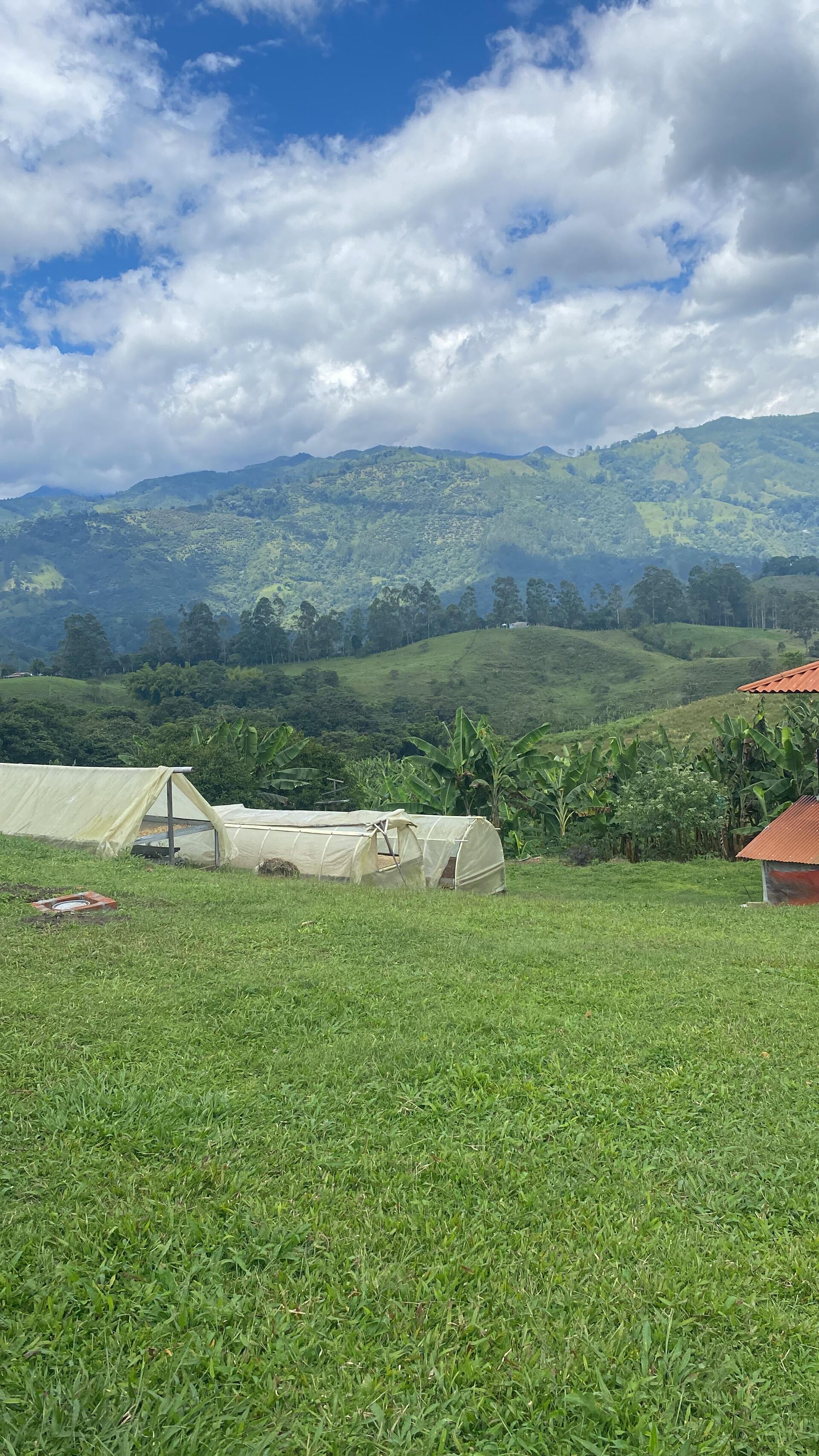 Tierra Linda