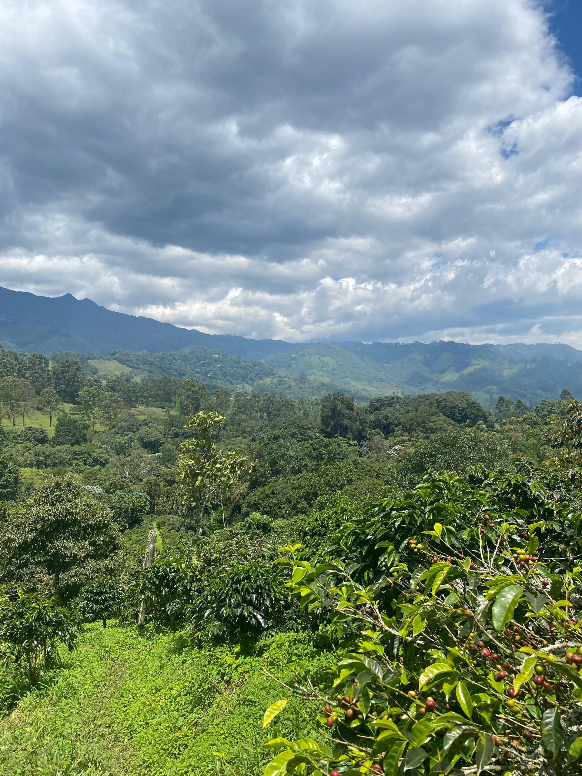 Tierra Linda