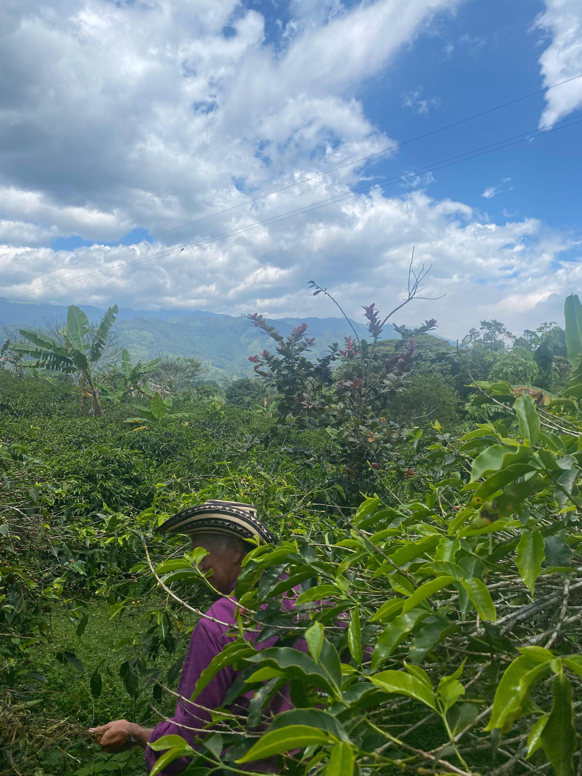 Tierra Linda