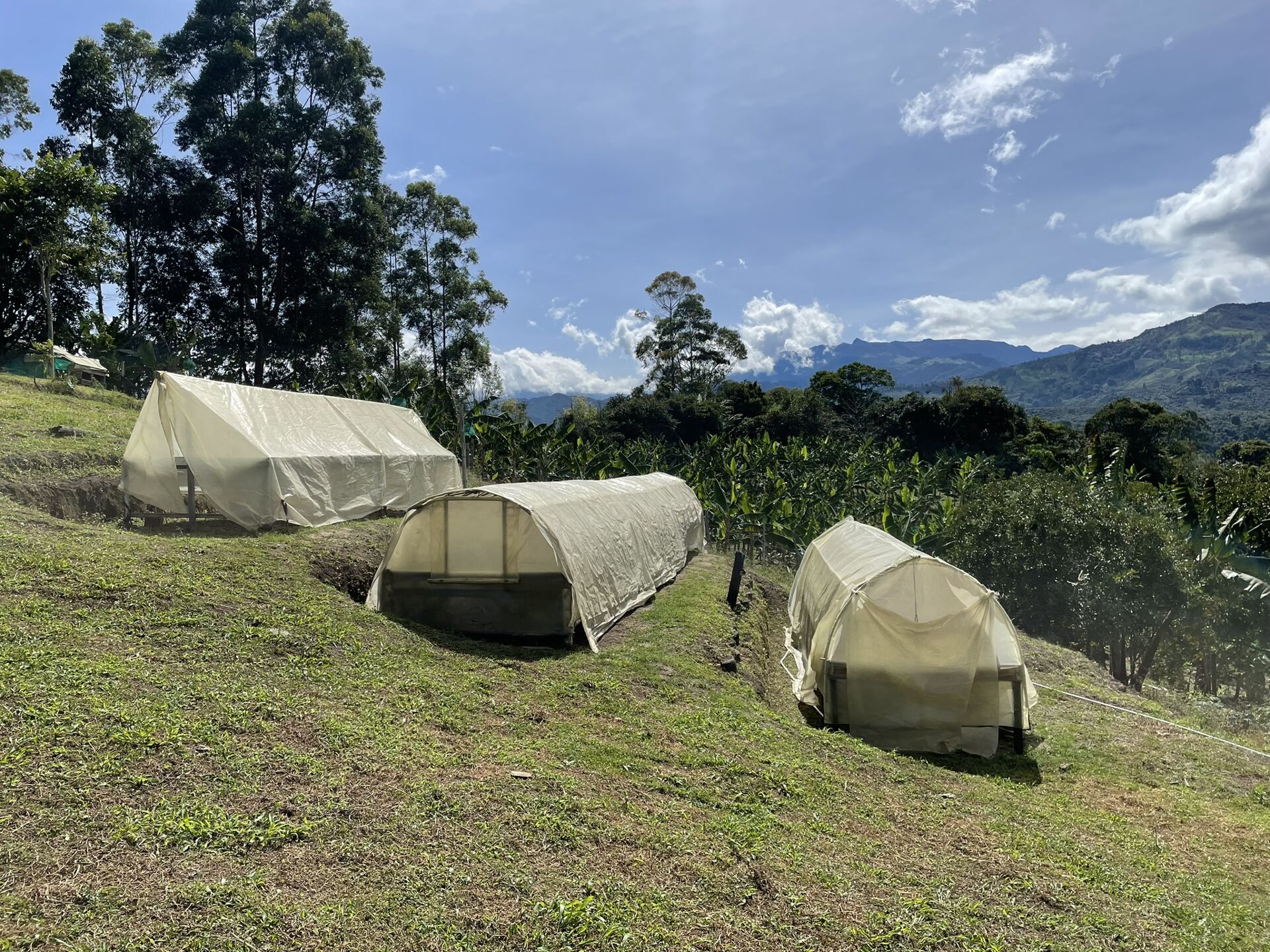Tierra Linda