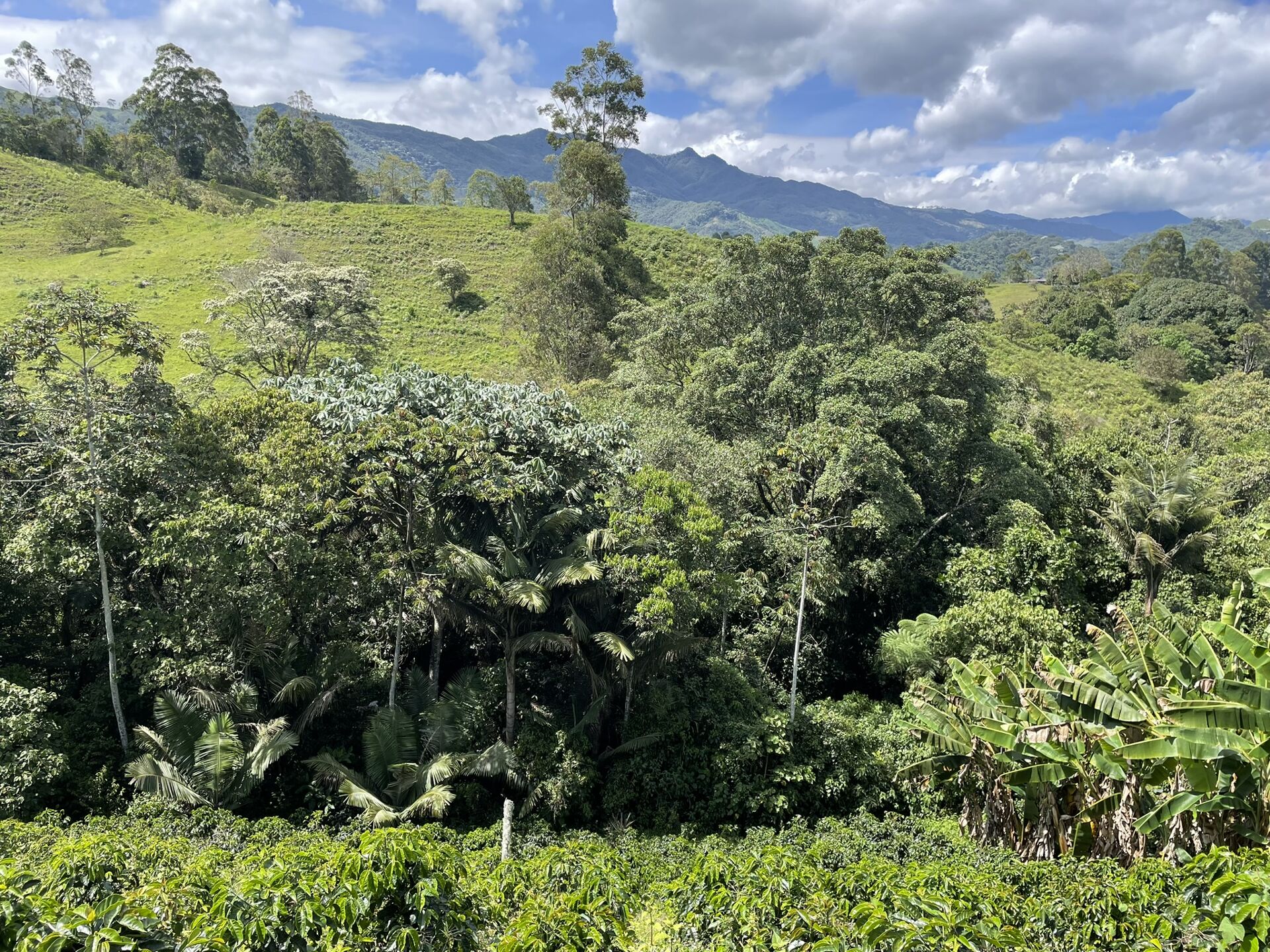 Tierra Linda