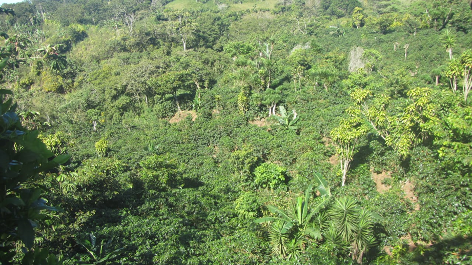 Cordillera del fuego