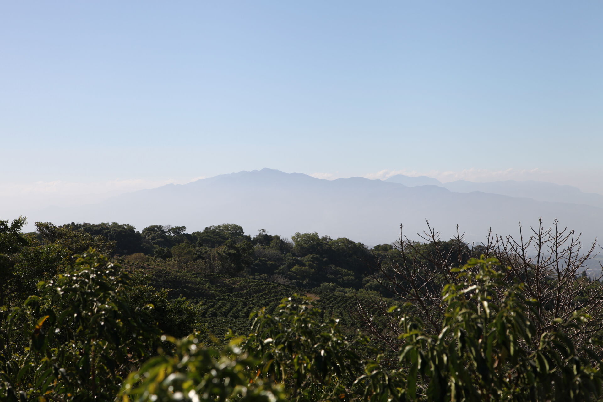 Hacienda Colima
