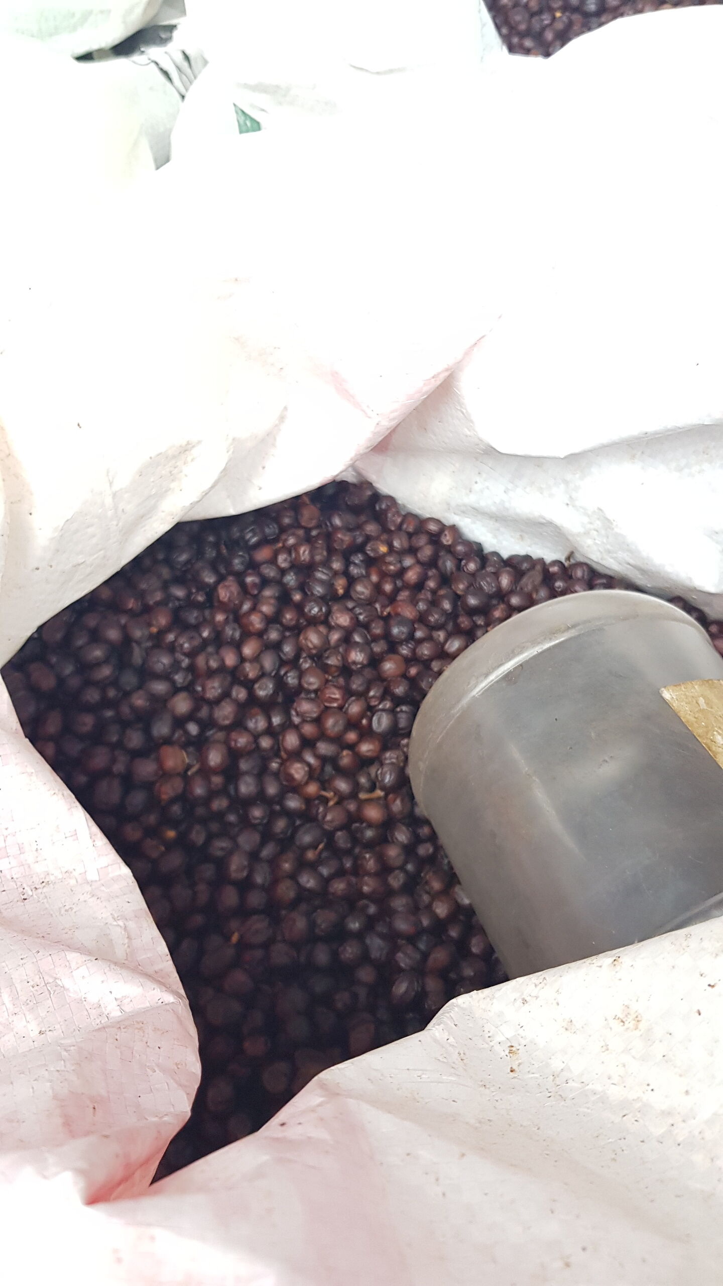 La Bandera