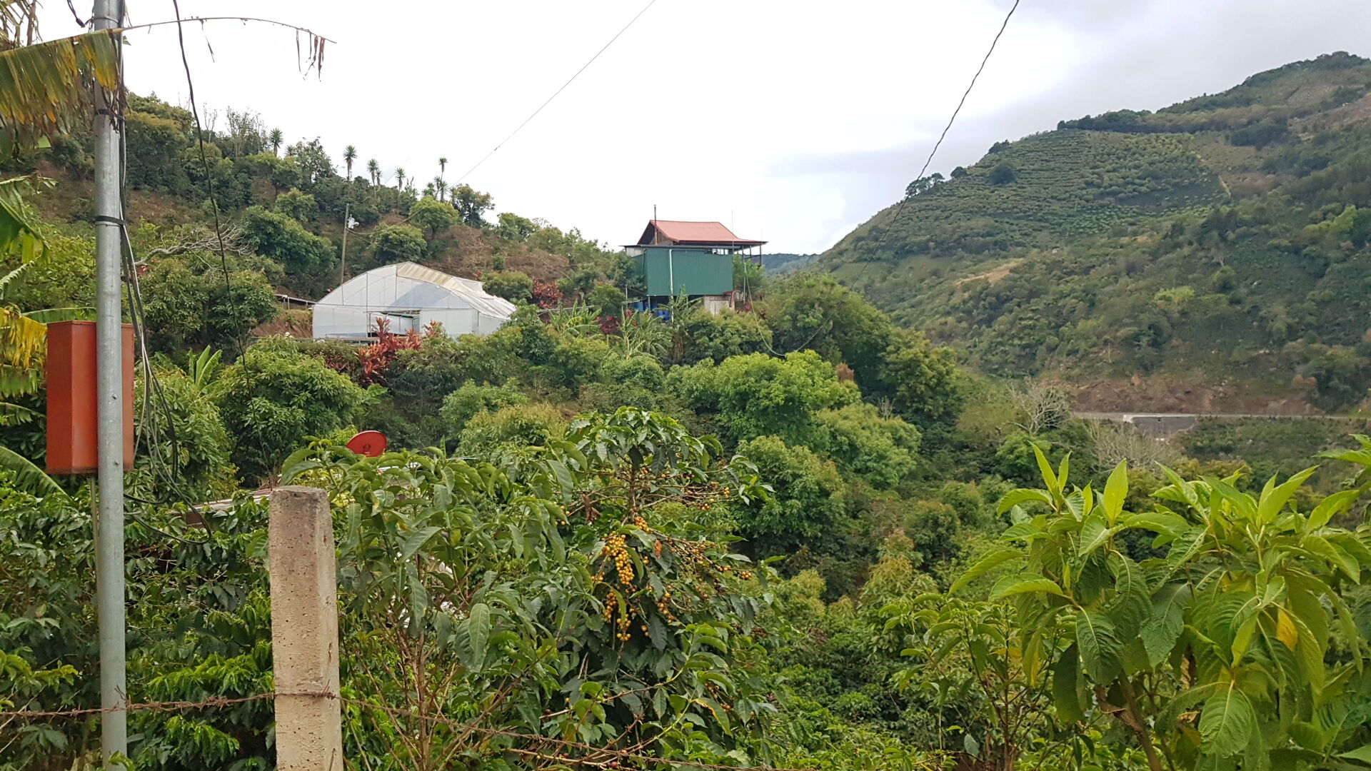 La Bandera