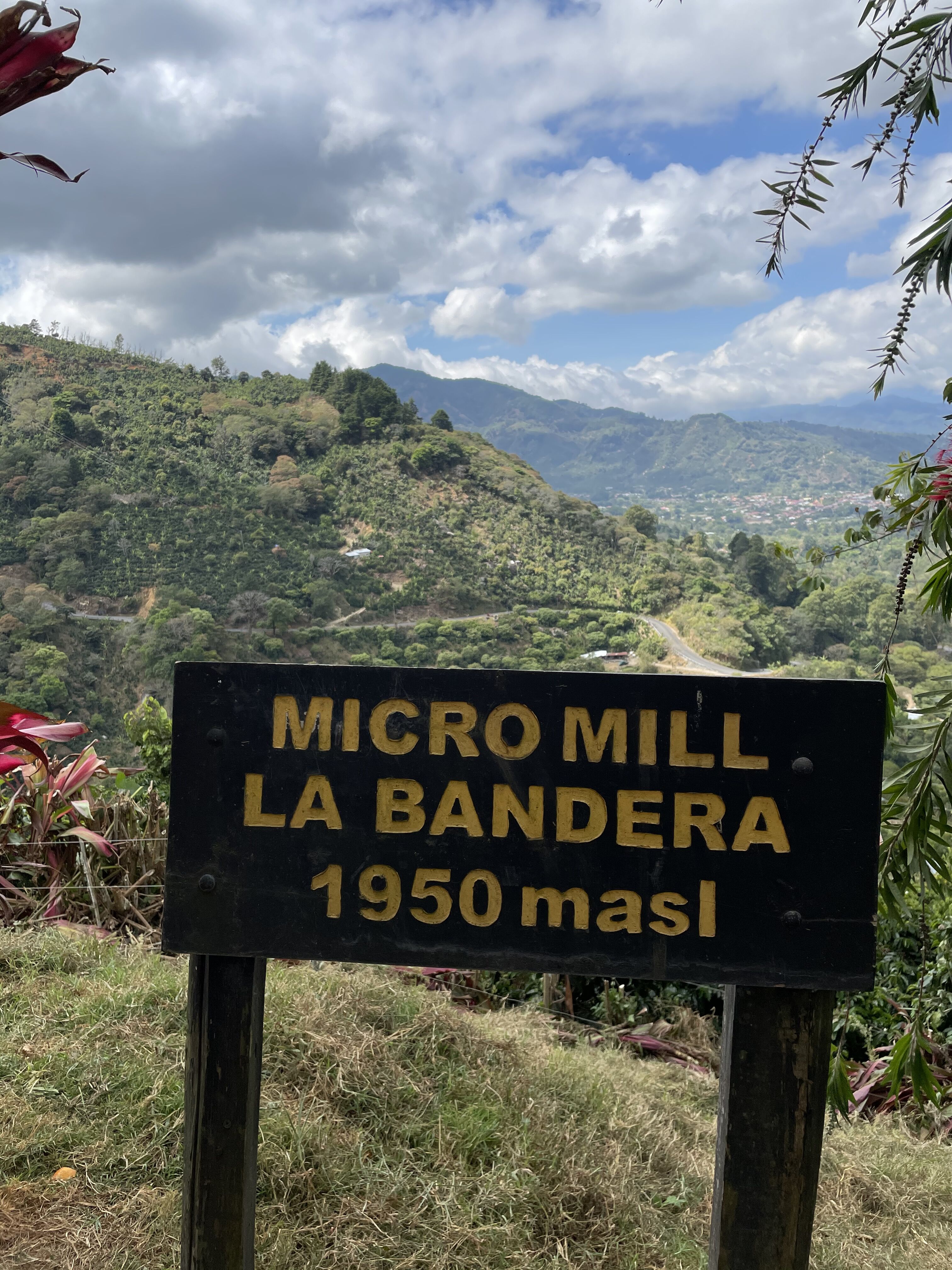 beneficio-la-bandera_51984753525_o.jpg
