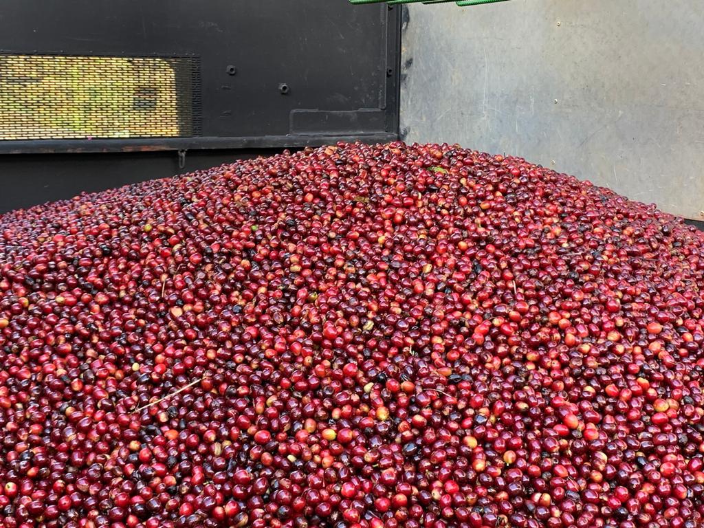 la-bandera---finca-aguas-buenas_52213598459_o.jpg