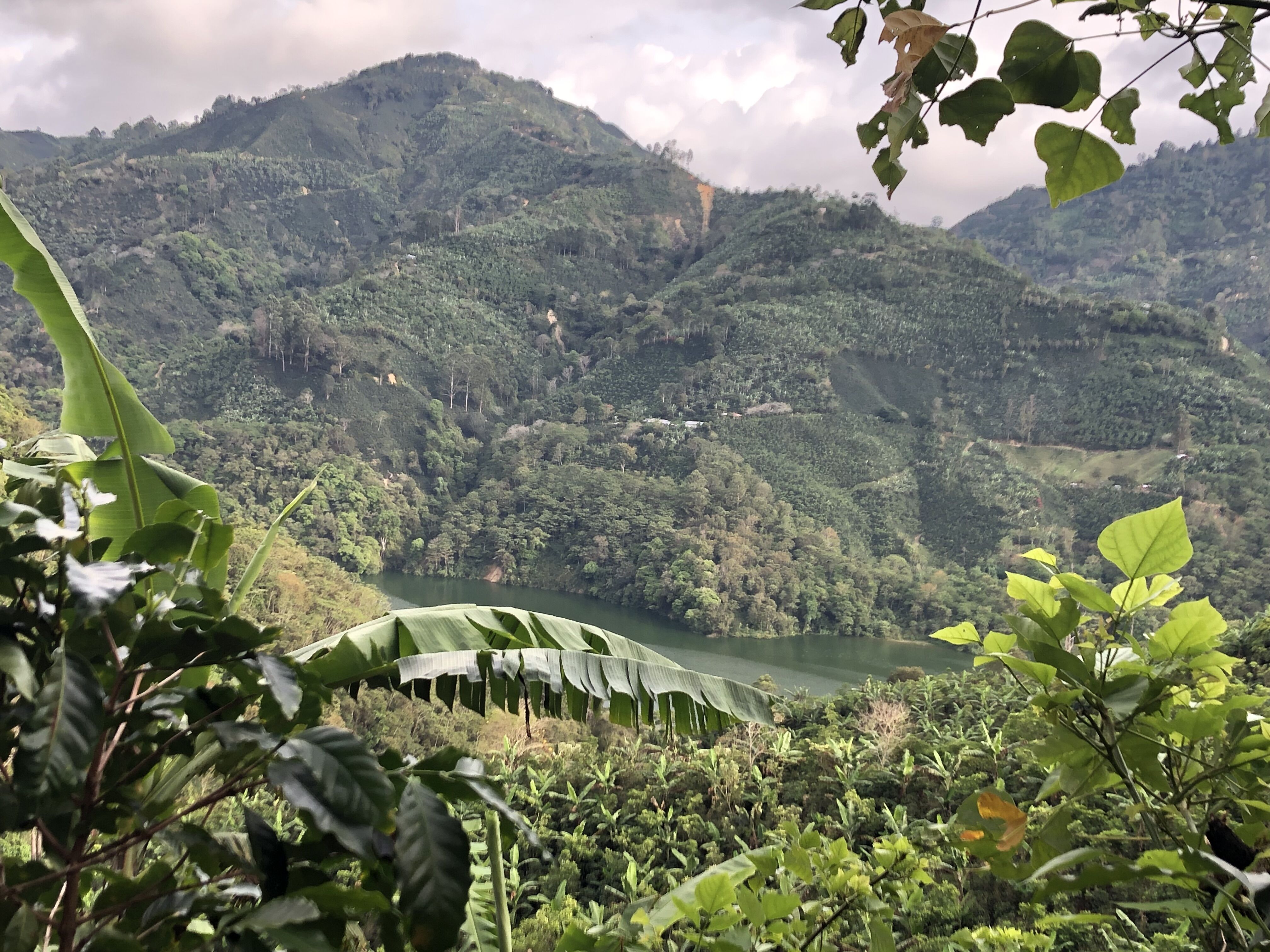 Santa Rosa