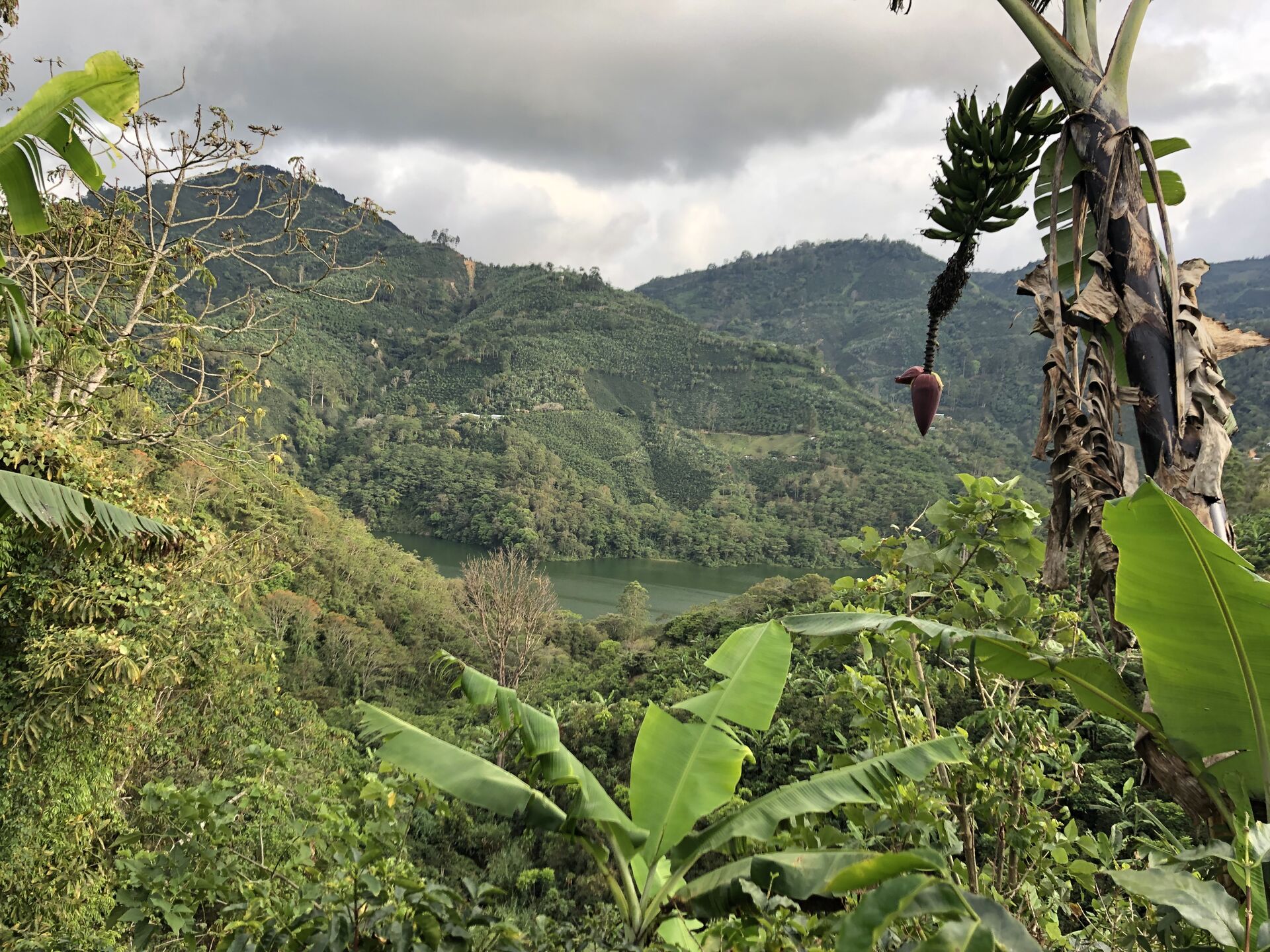 Santa Rosa