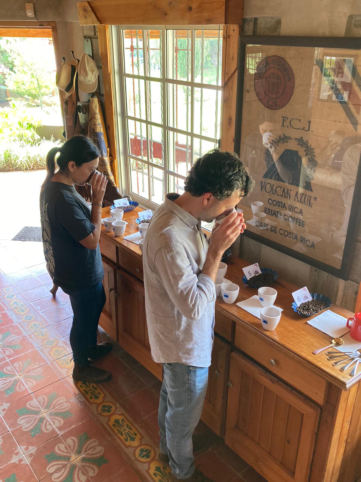 cupping.jpg