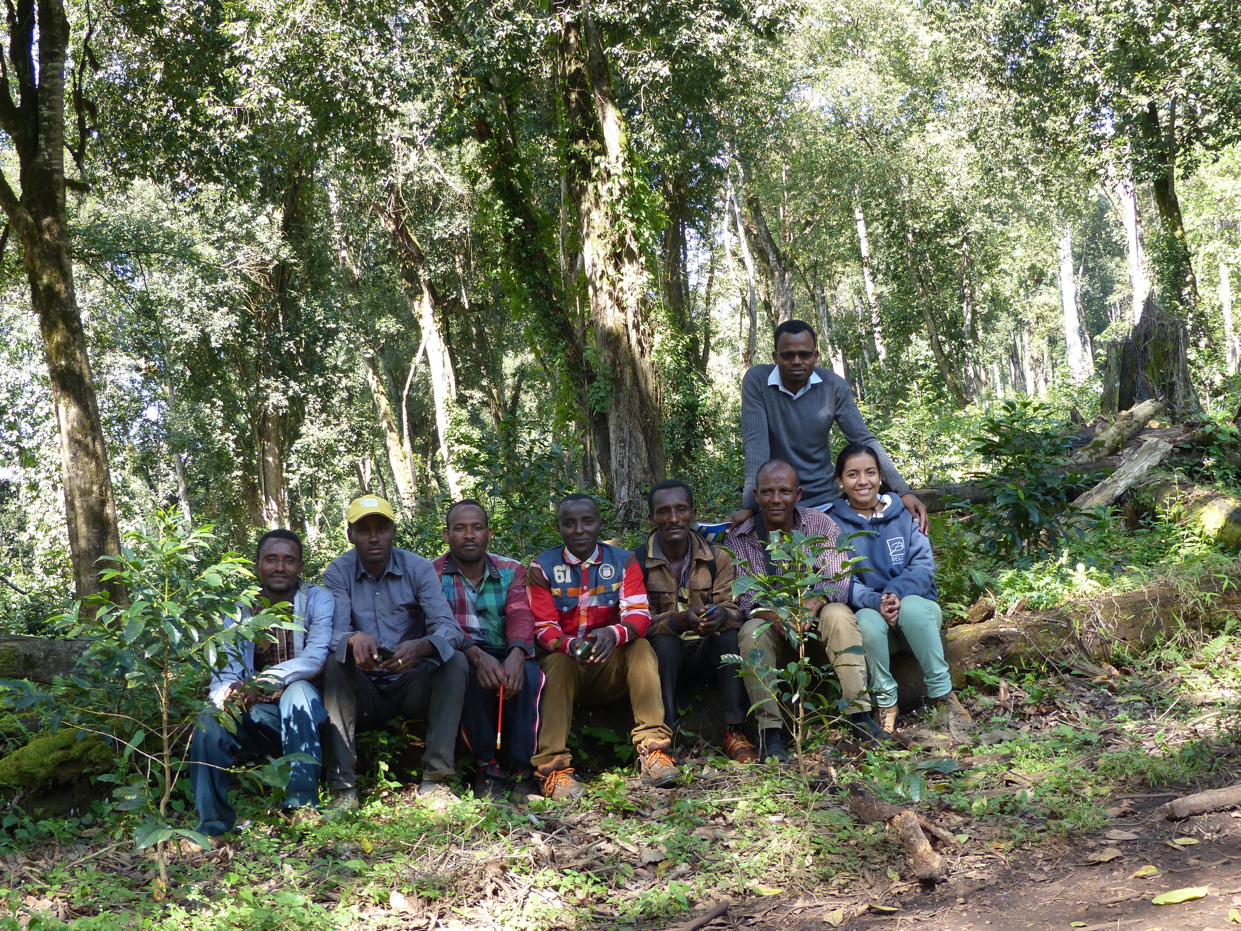 Guji Highlands -Dambi-Uddo Oct 2017 (100).JPG