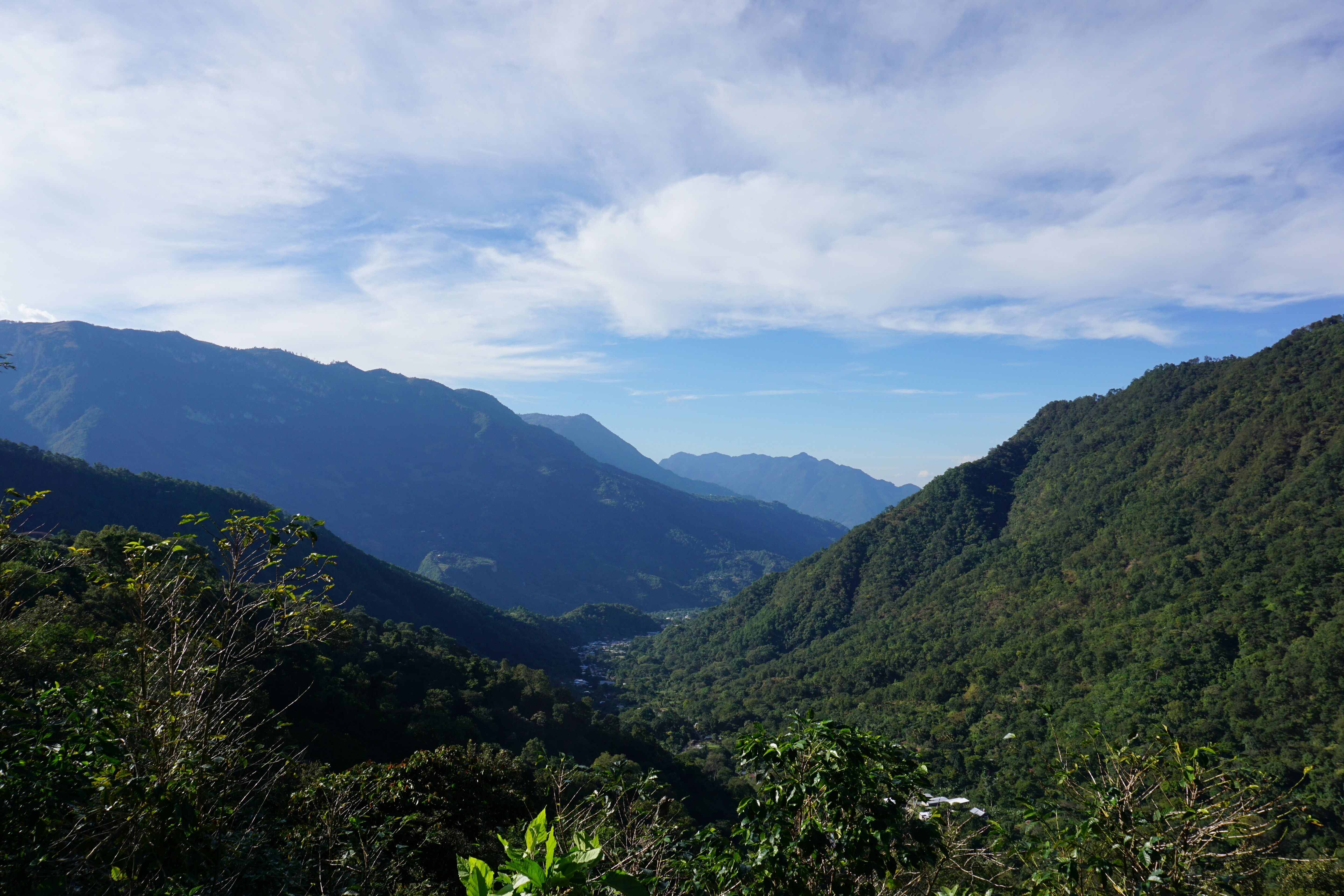 DSC01517.JPG