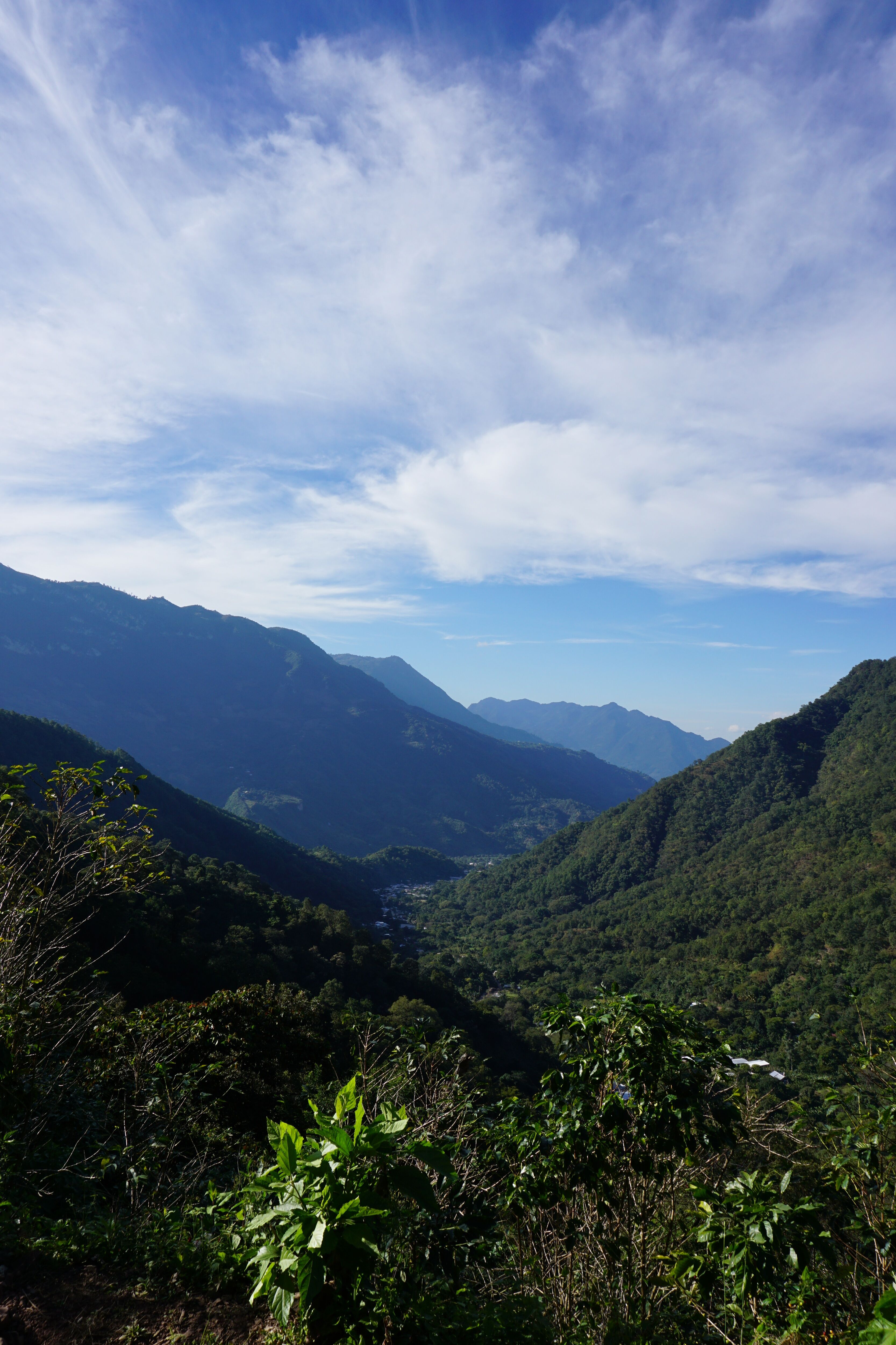 DSC01518.JPG