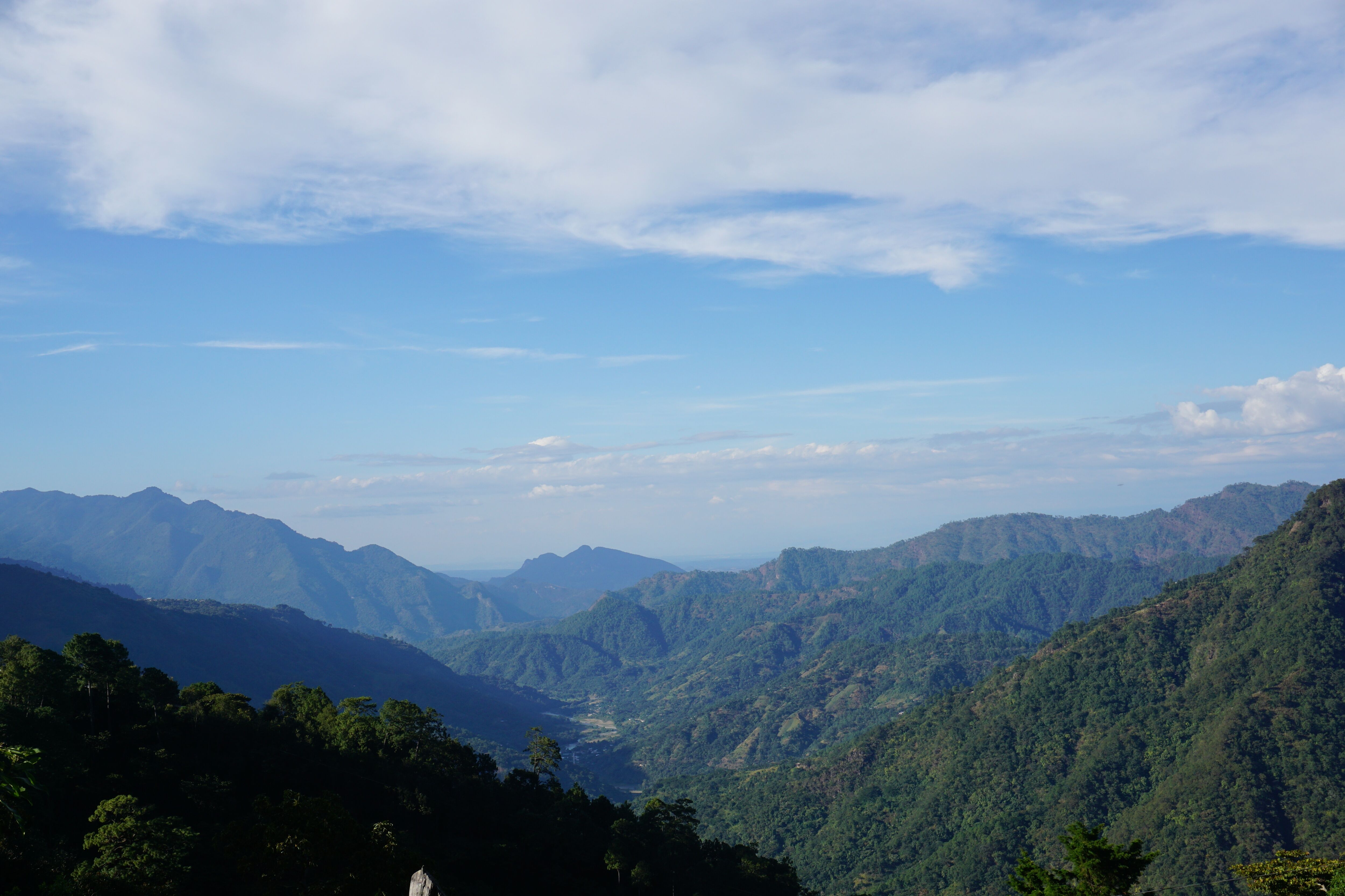 DSC01527.JPG