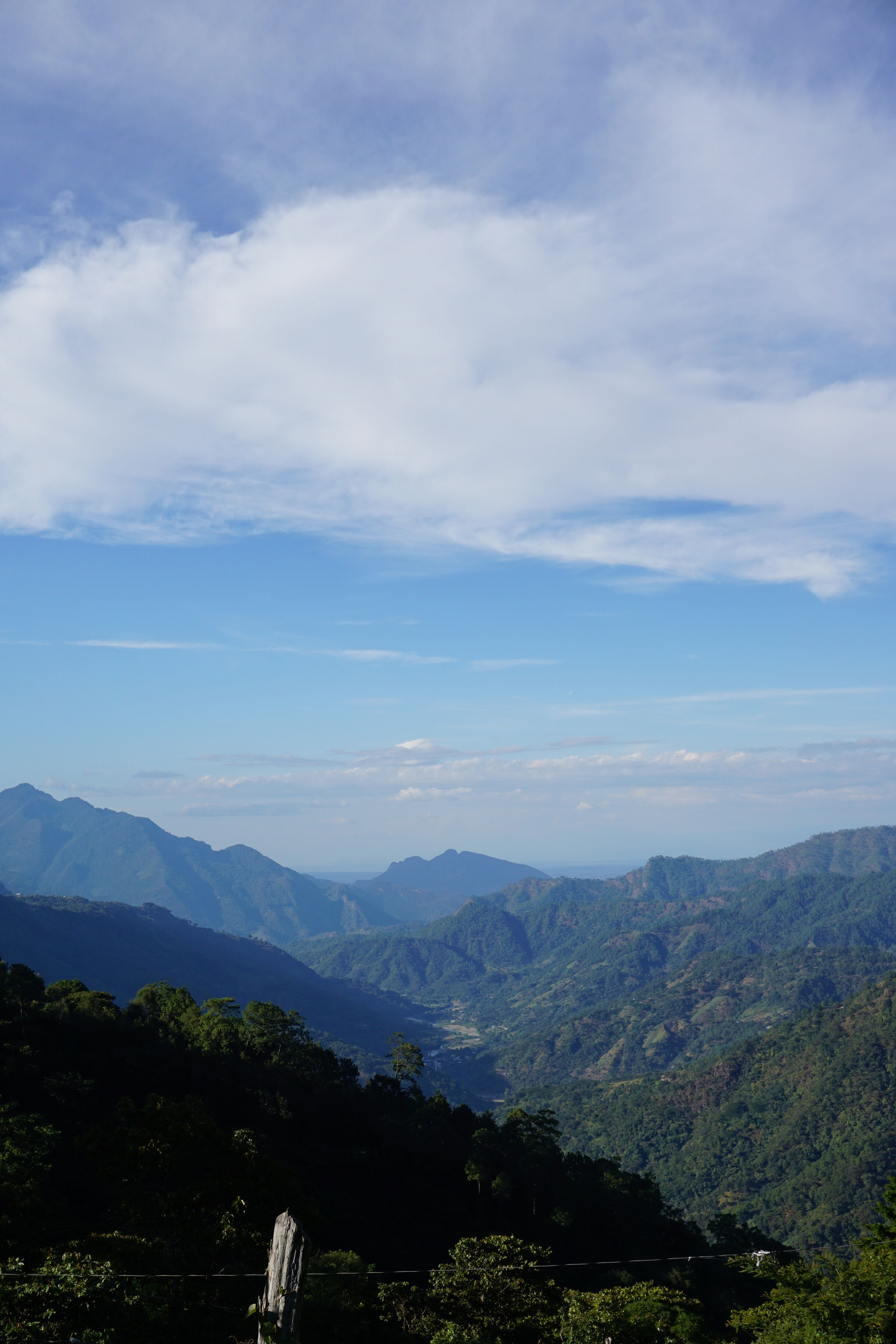 DSC01528.JPG