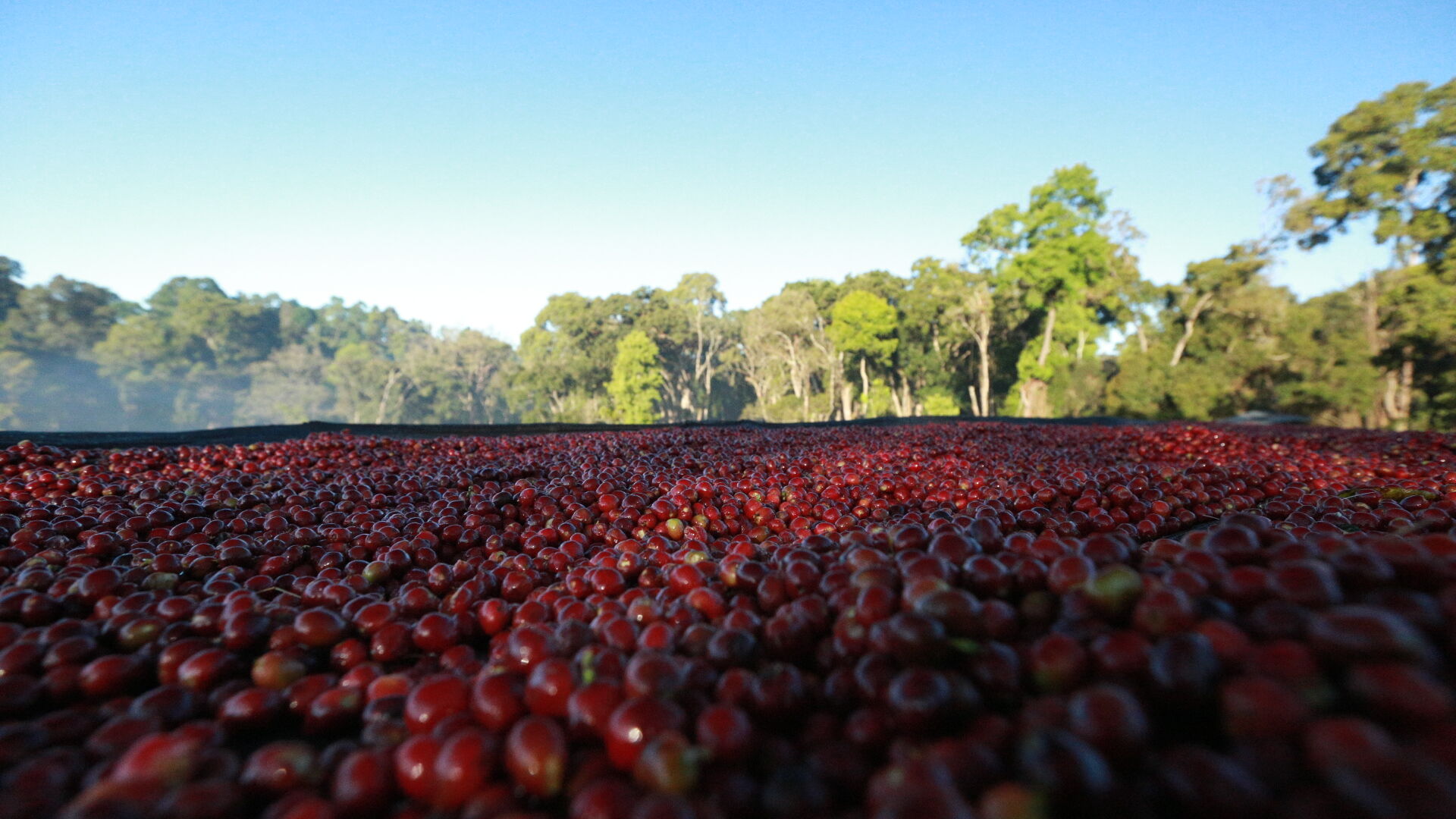 Banko Gotiti (1).JPG