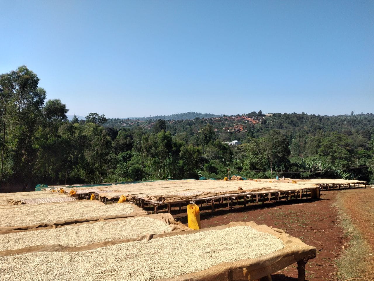 Banko Gotiti (1).jfif