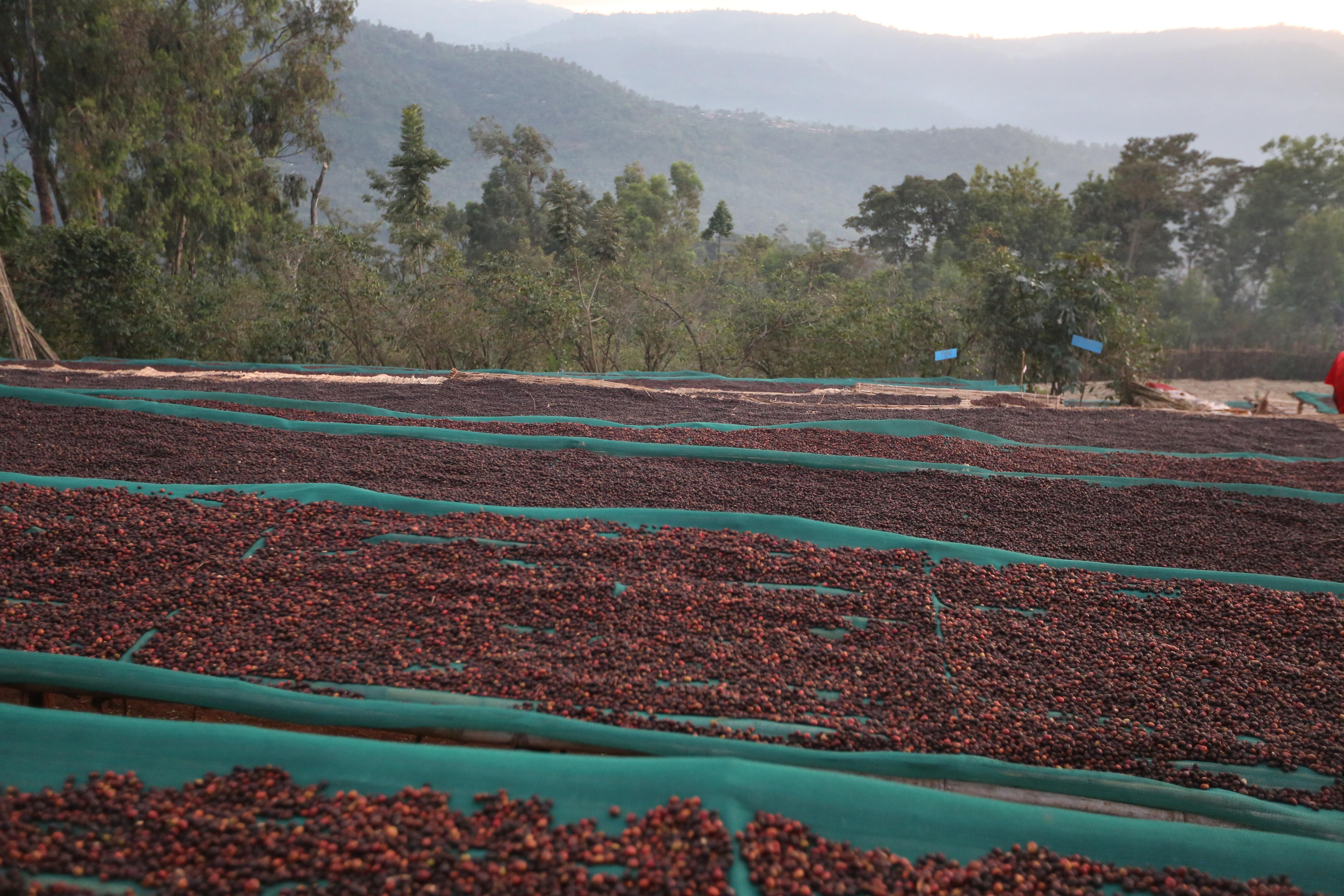 Banko Gotiti (2).JPG