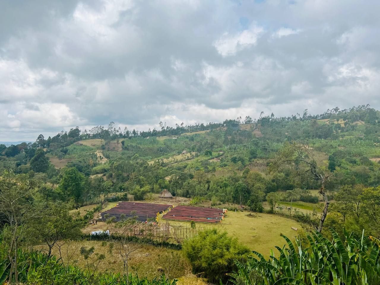 ethiopia---dwd---chancho-washing-station_52311305022_o.jpg
