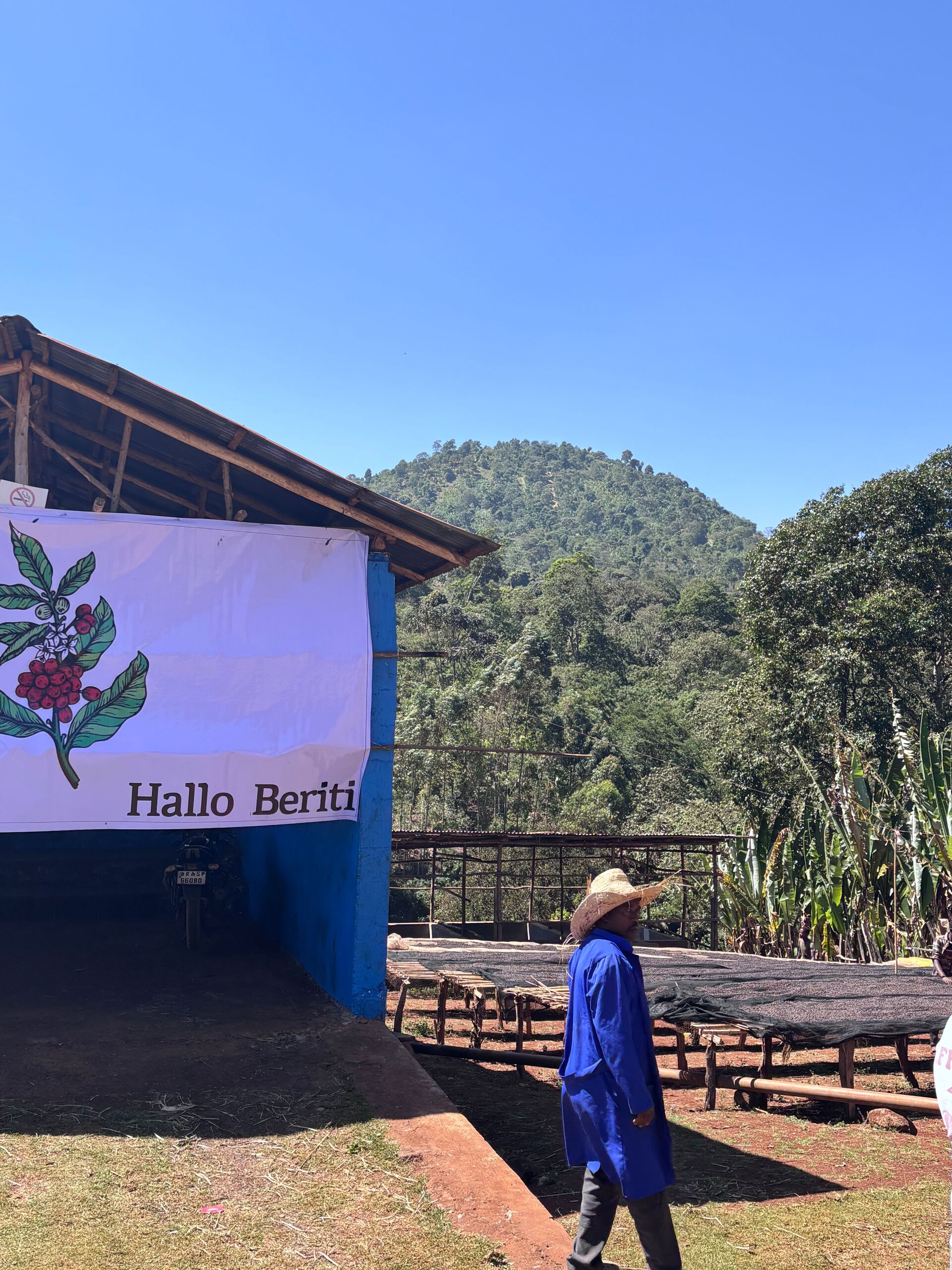 Halo Beriti