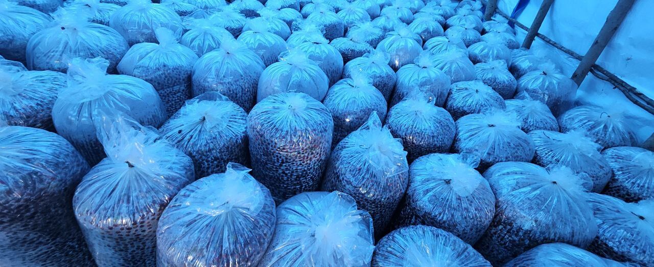 Arbegona K - NA - pp.JPG