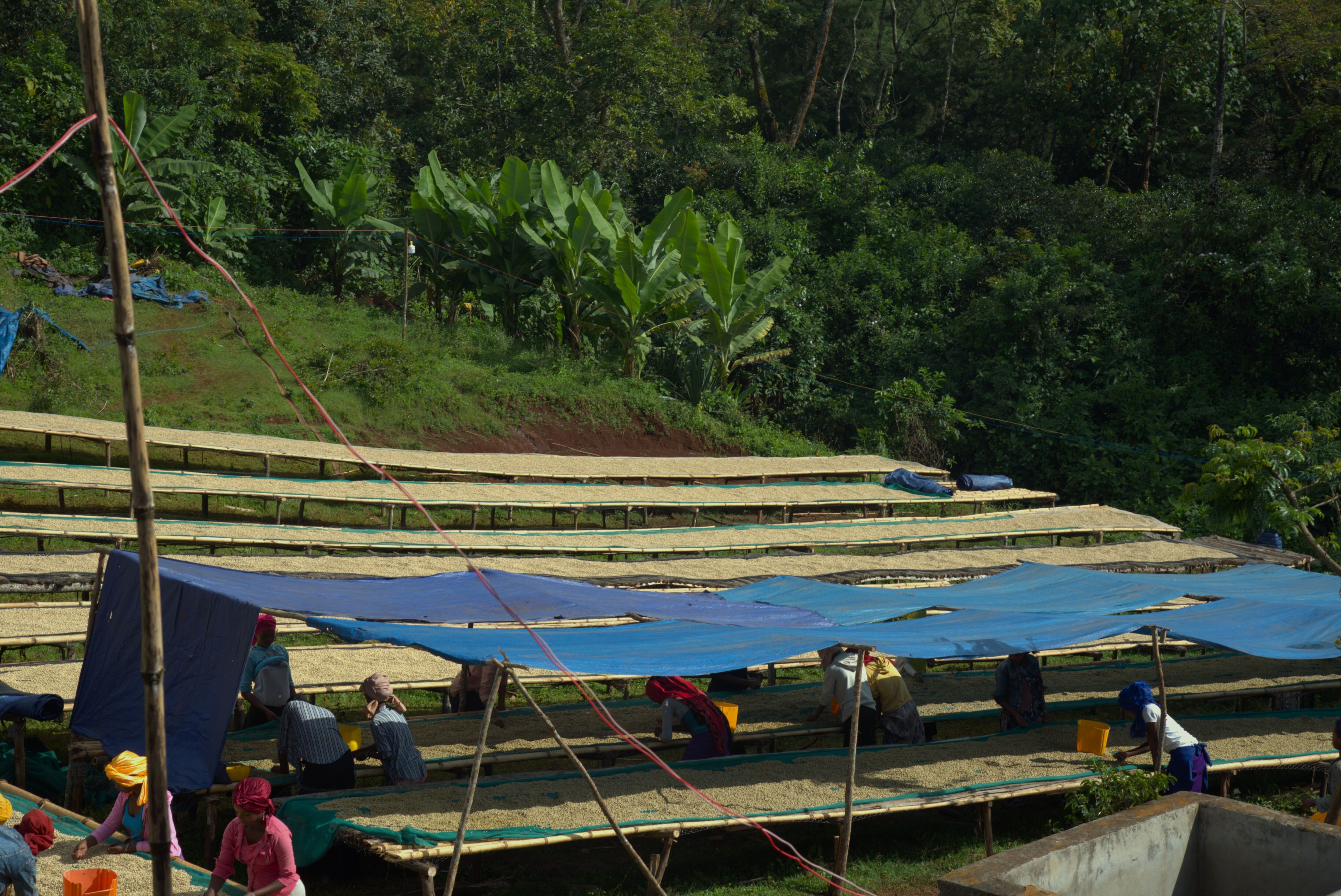 Sadi Loya Washing station (2).jpg