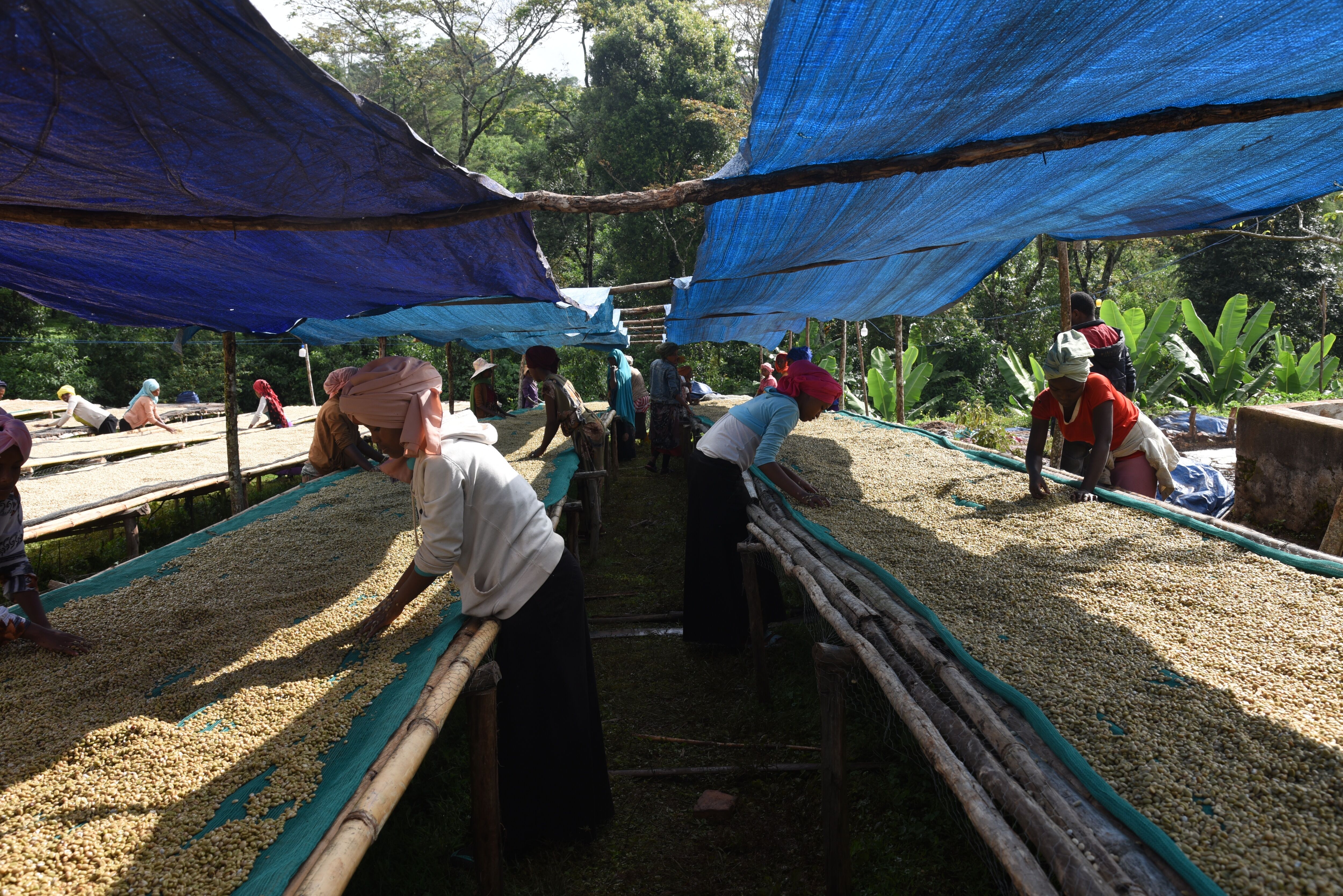 Sadi Loya Washing station (5).JPG