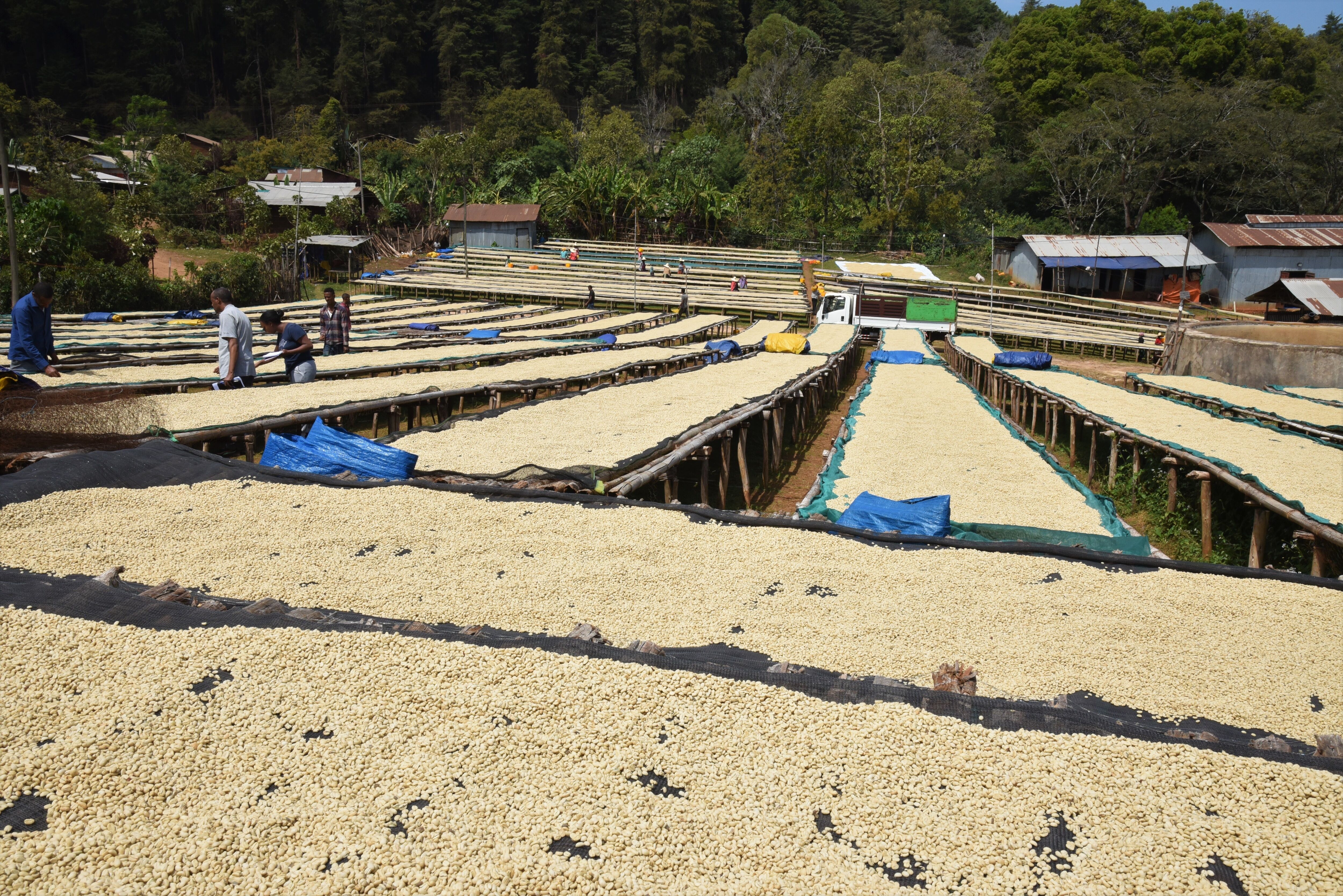 Sadi Loya Washing station (8).jpg