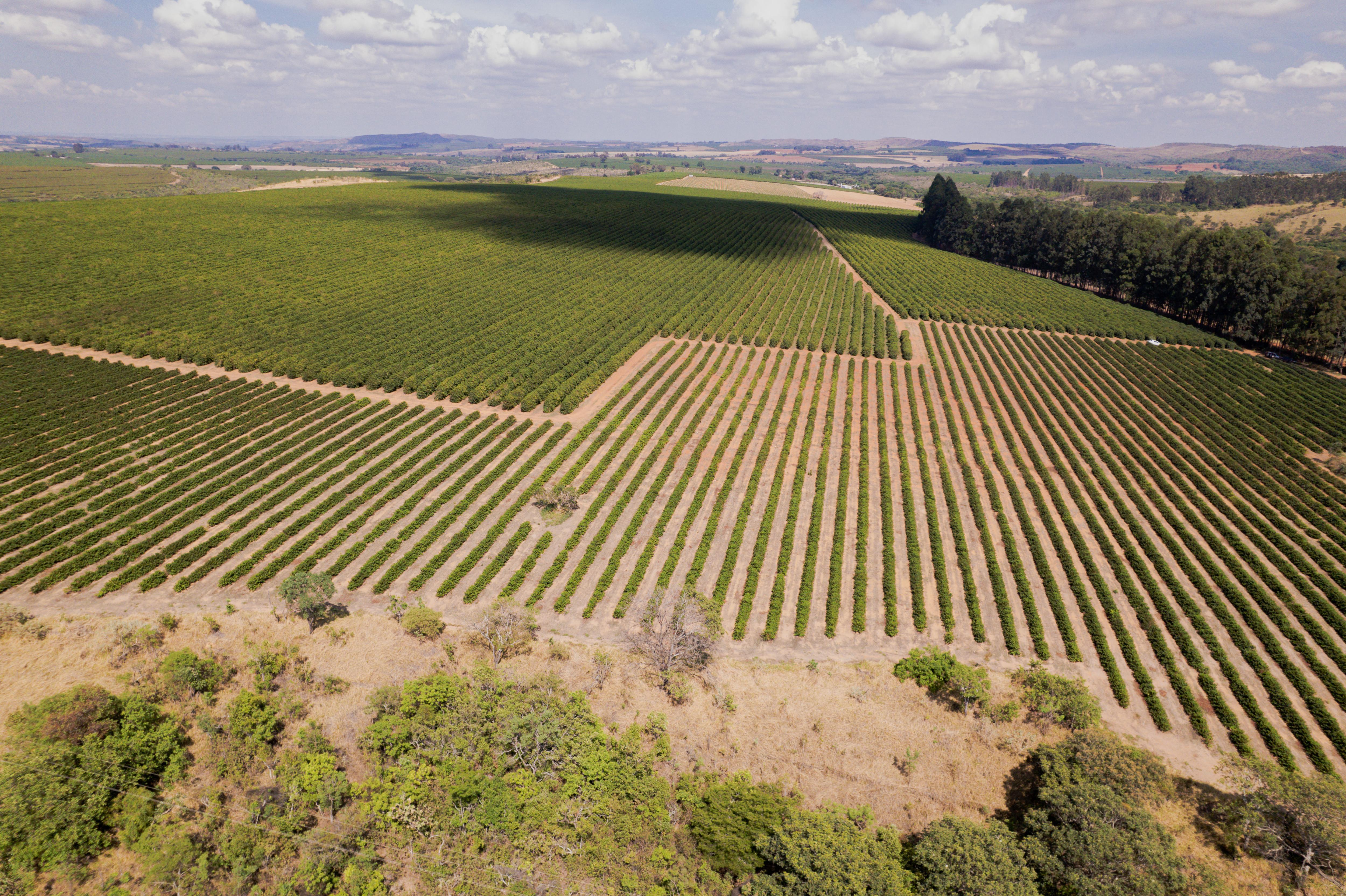 2025-10-15 09-22_DJI_0354.jpg