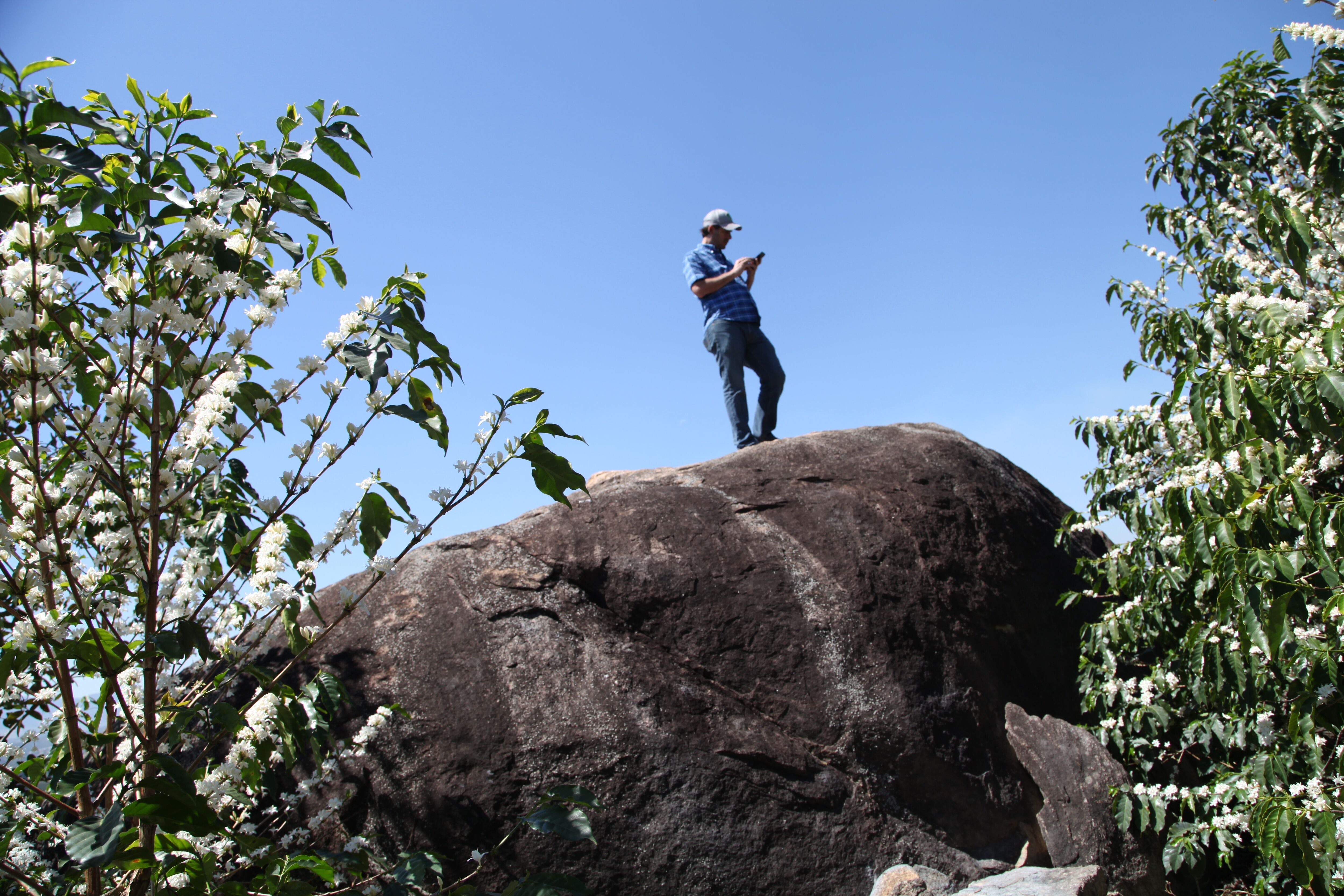 brazil-fazenda-santana_50806309123_o.jpg
