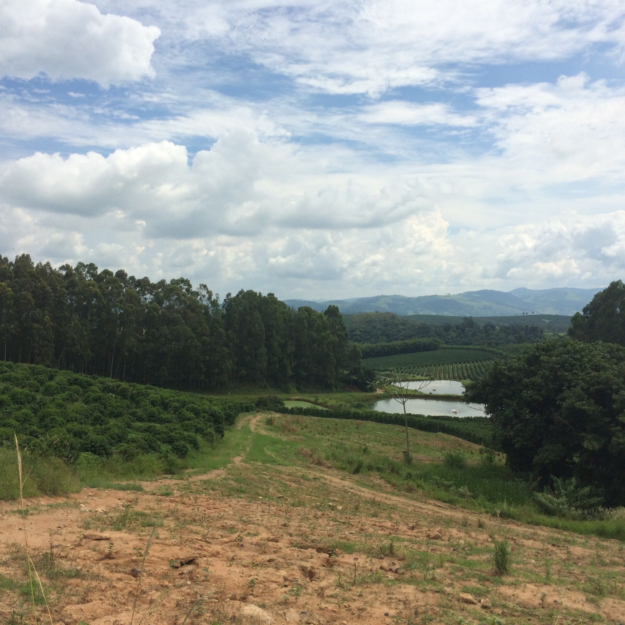 brazil-fazenda-santana_50806311168_o.jpg
