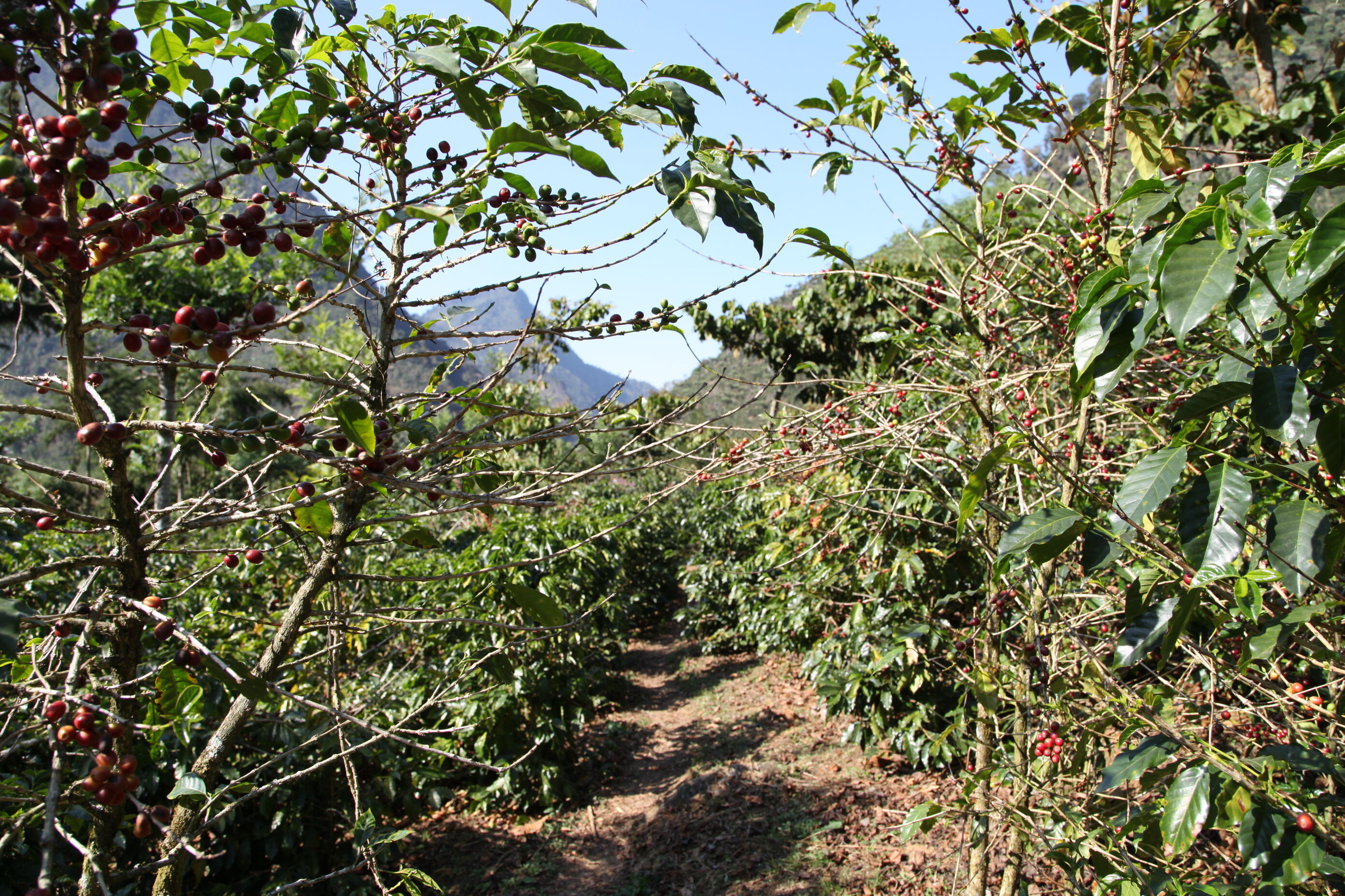 el-rincon---renardo-ovalle_50948537078_o.jpg