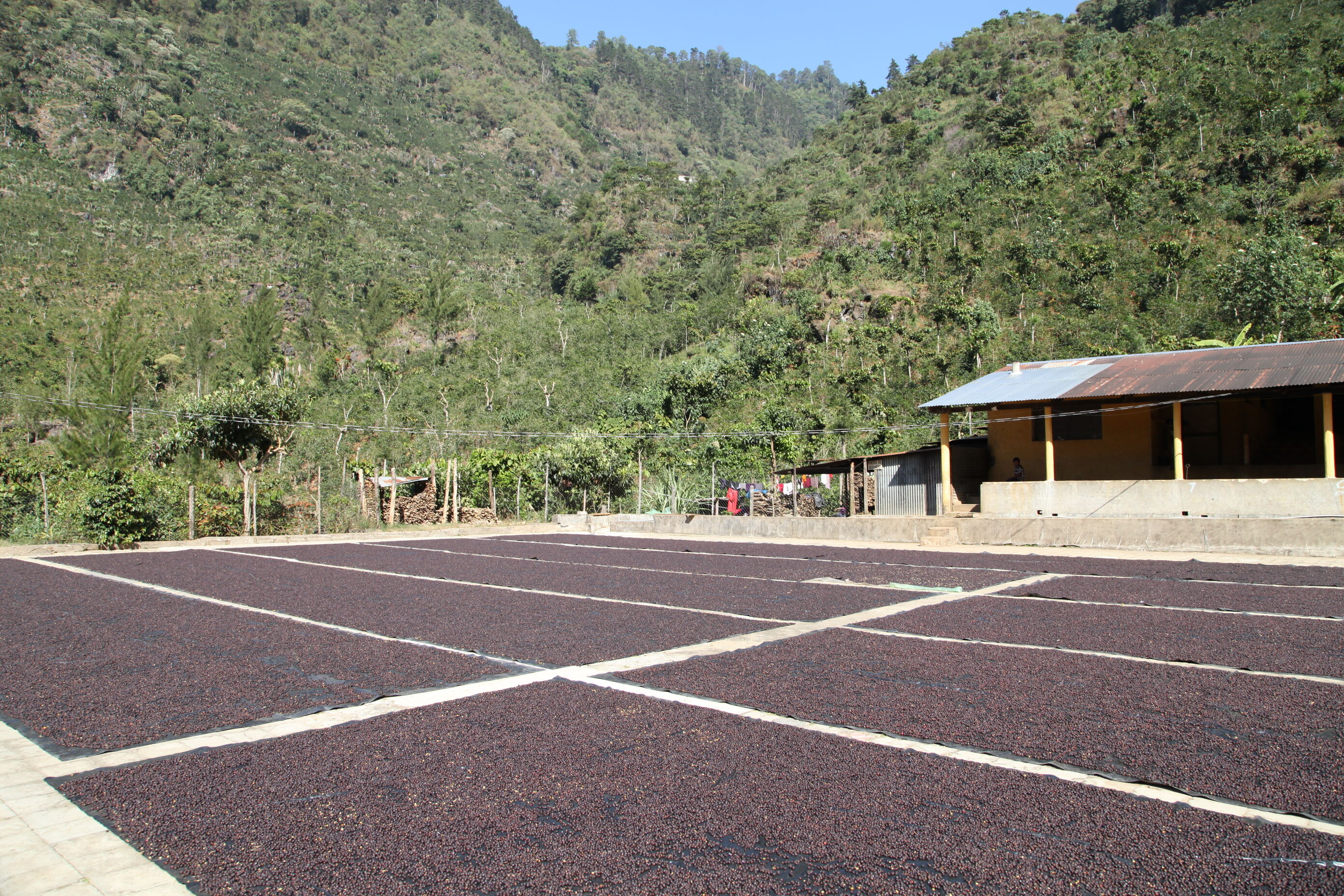 el-rincon---renardo-ovalle_50948539343_o.jpg