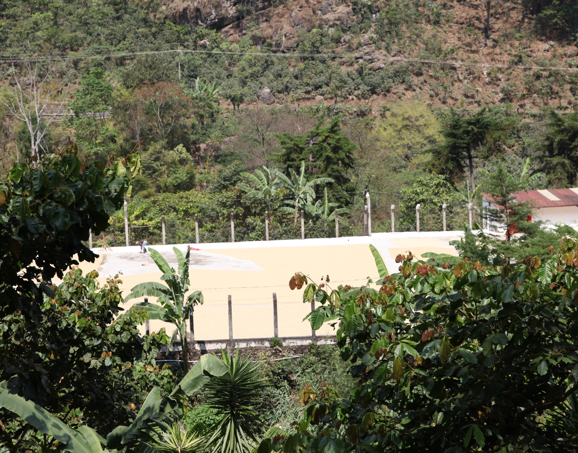La Mochilita