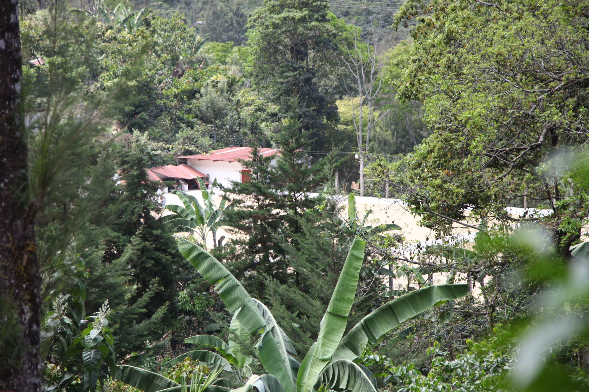La Mochilita