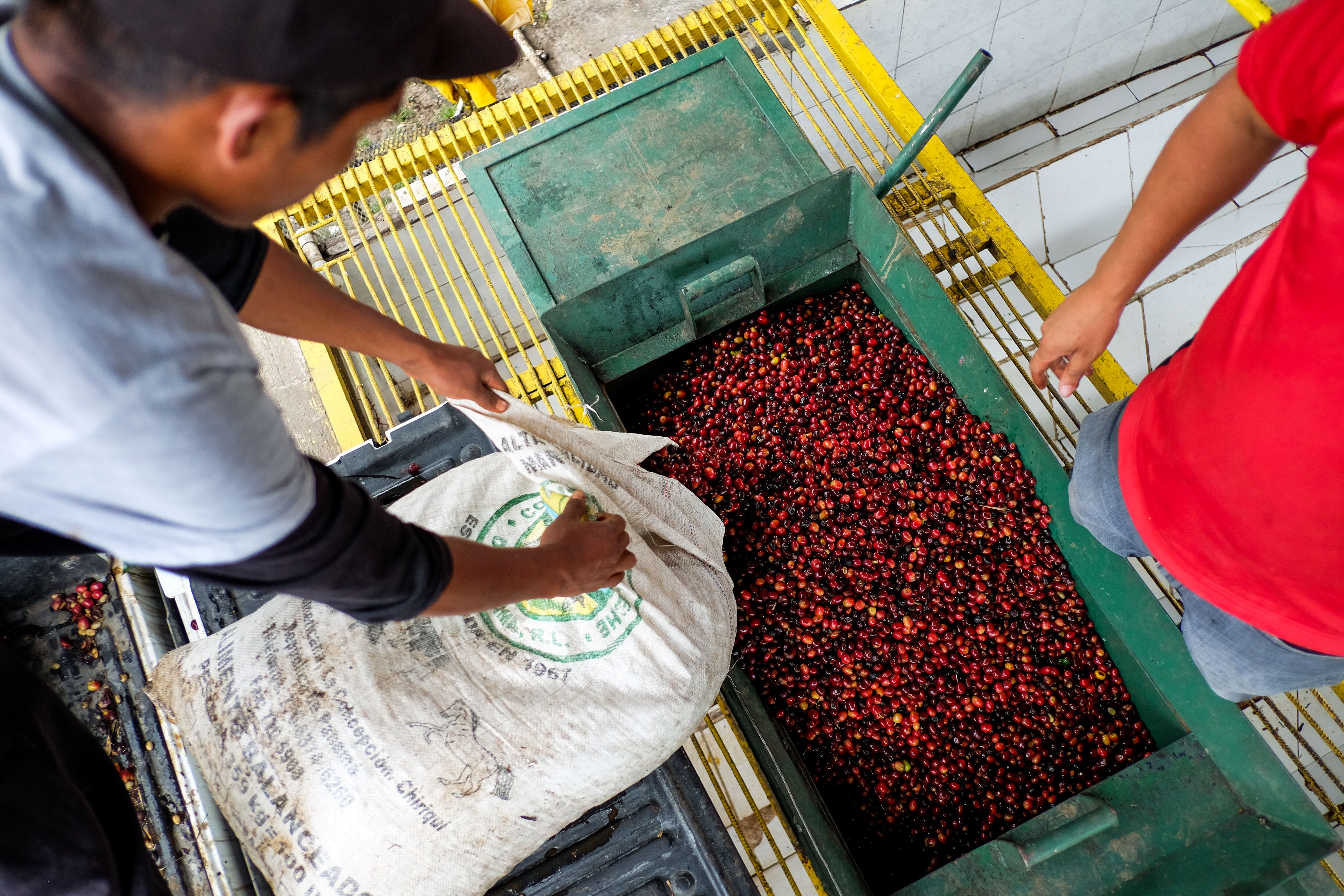 finca-santa-teresa_51125434593_o.jpg