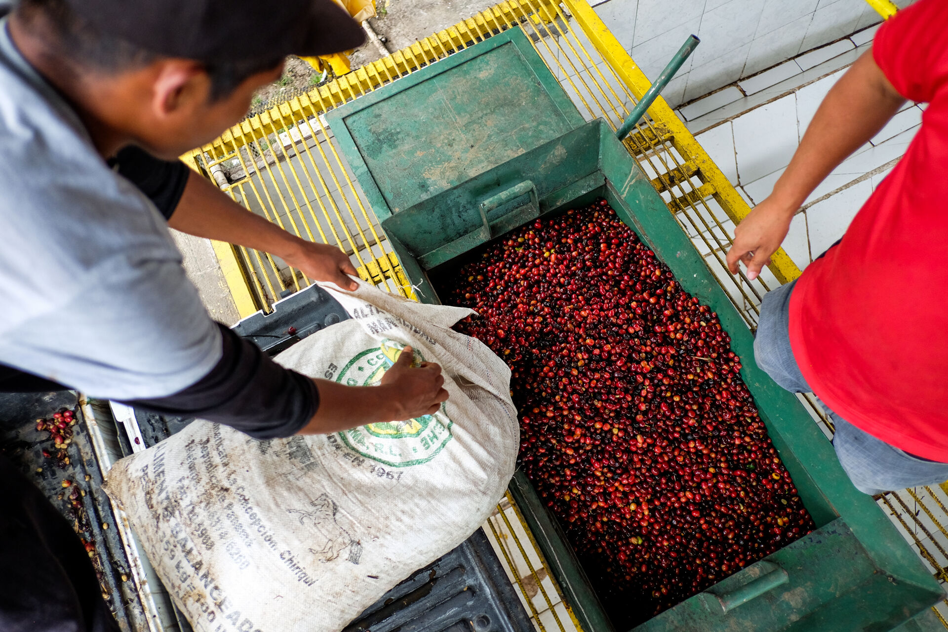 finca-santa-teresa_51125434593_o.jpg