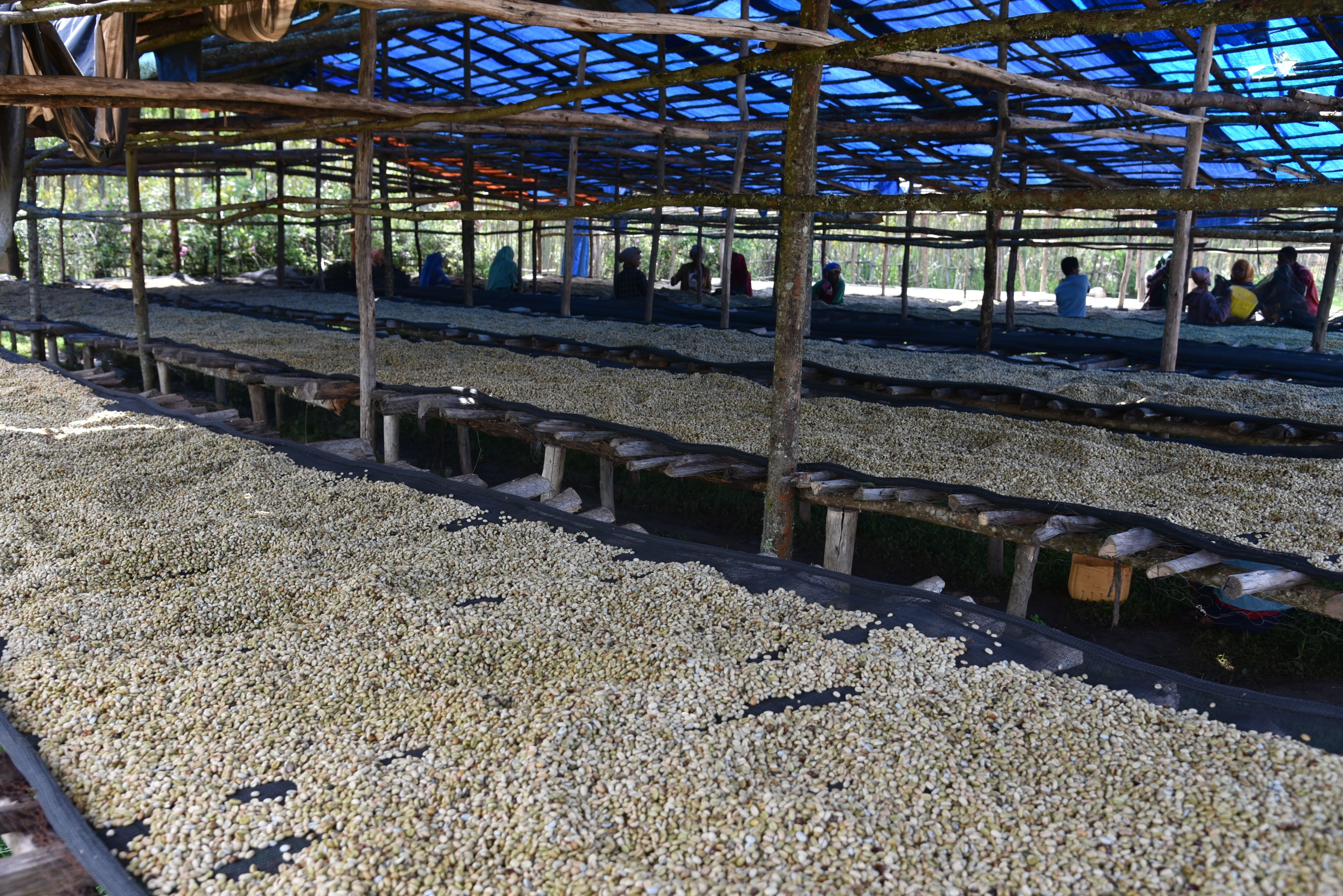 Gera dry station - October 24 (2).JPG