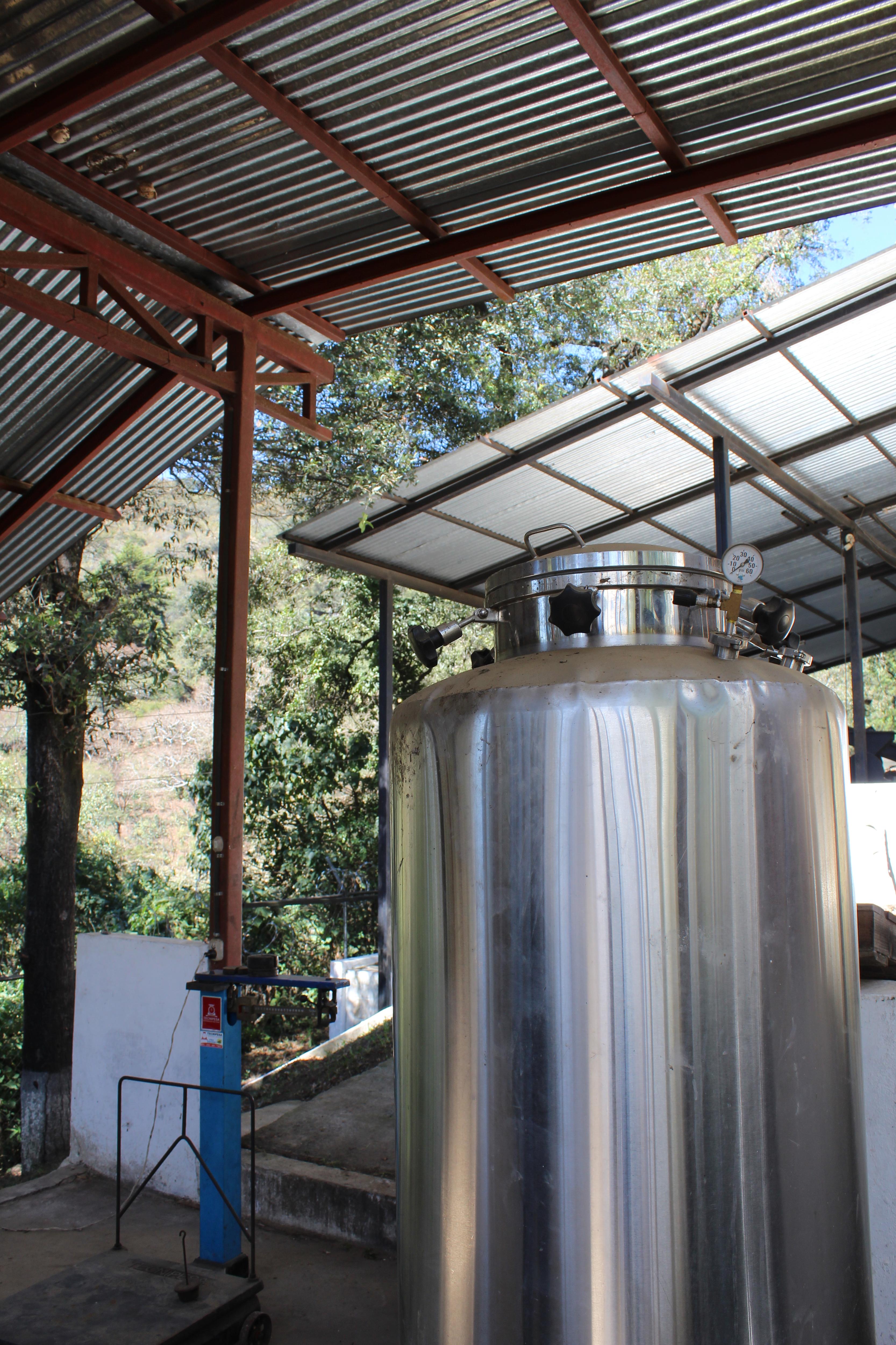 Felipe Fav Fermentation Tank.JPG