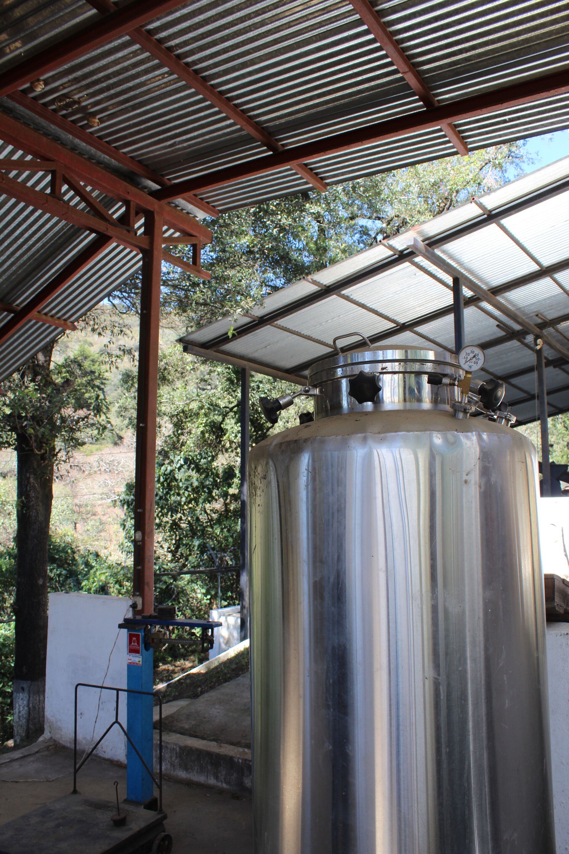 Finca Gascon