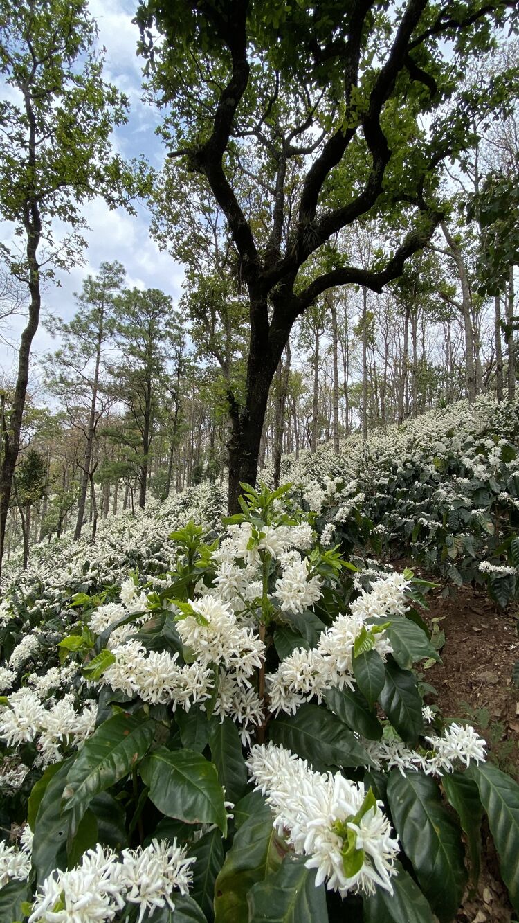 Copia de IMG_0484.heic